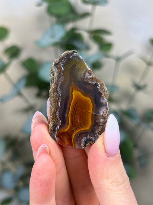 Condor Agate (15HG)