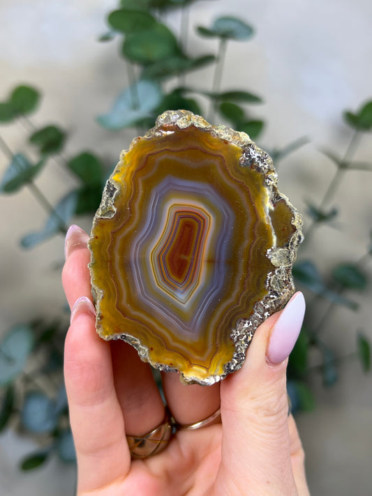 Condor Agate (103EB)