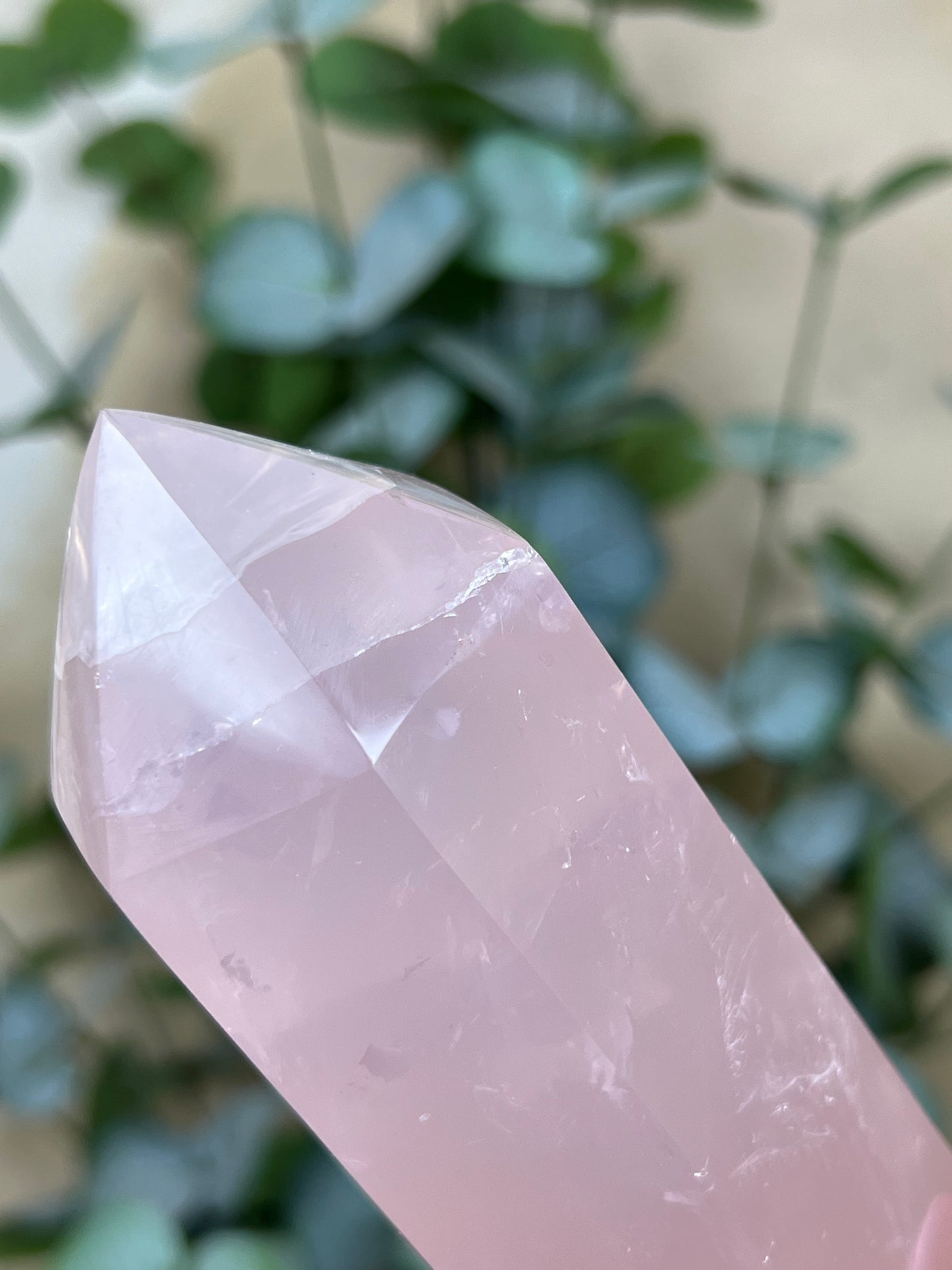 Rose Quartz Tower (55AE)