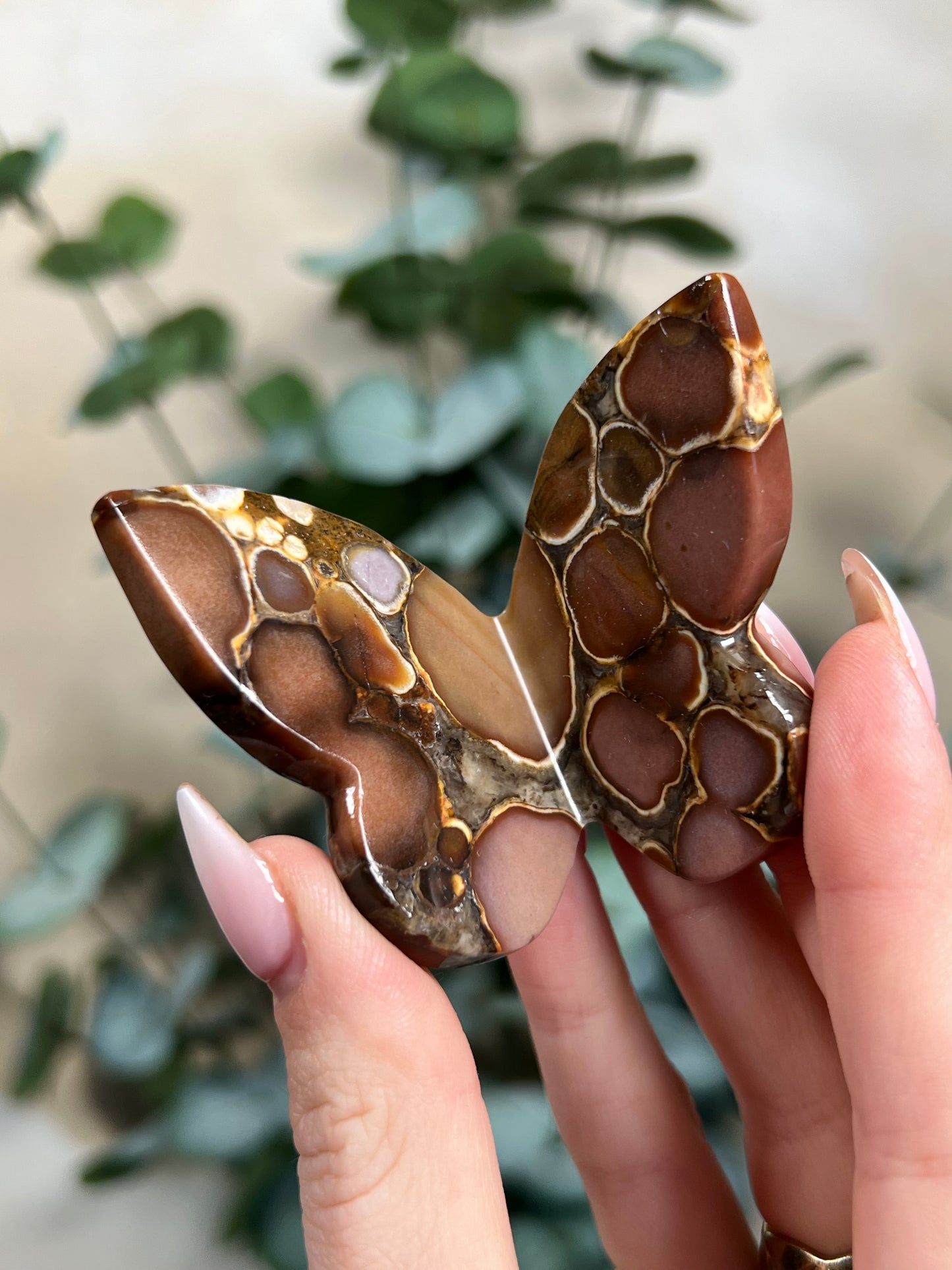 Cobra Jasper Butterflies