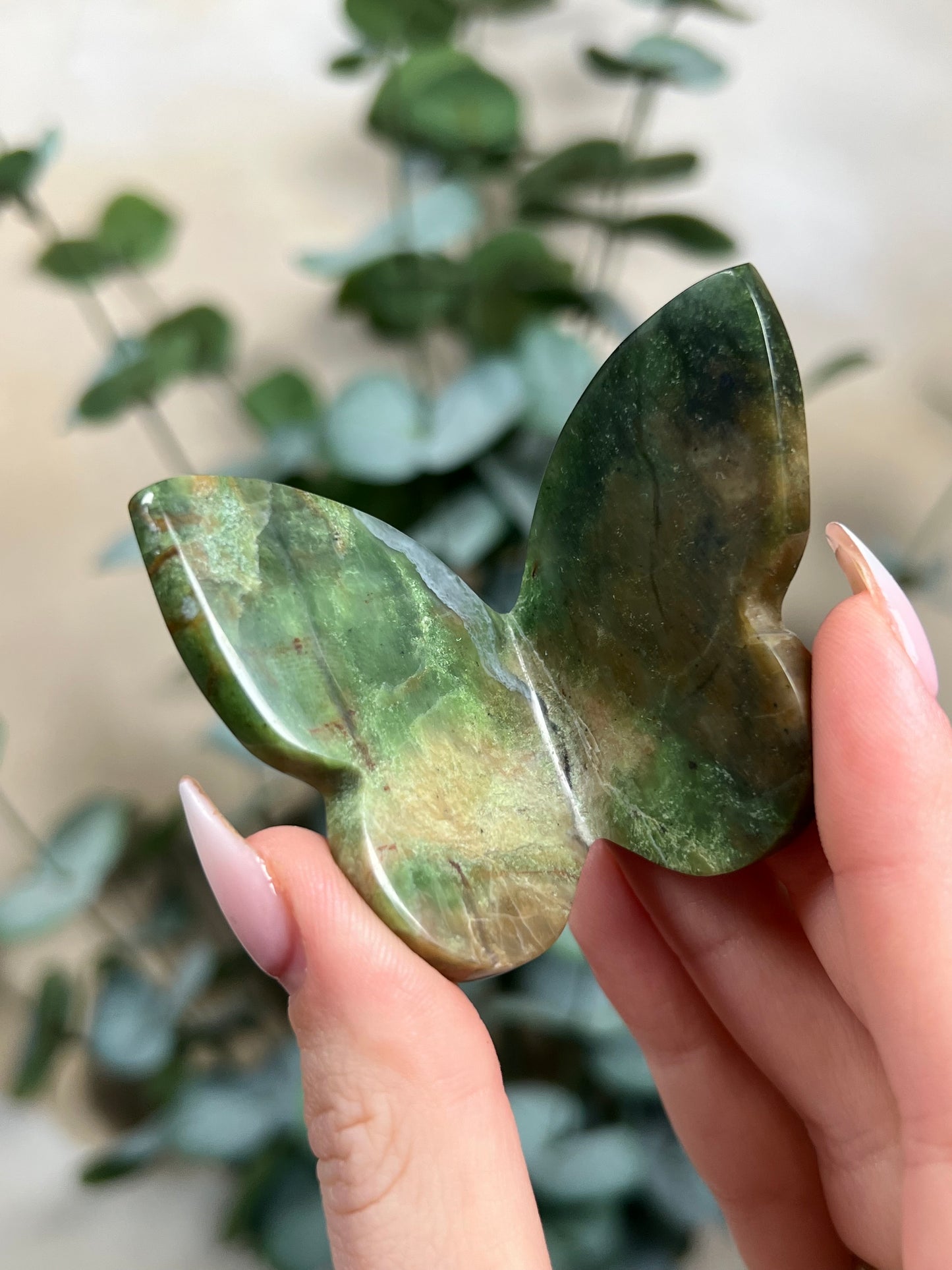 Green Opal Butterflies
