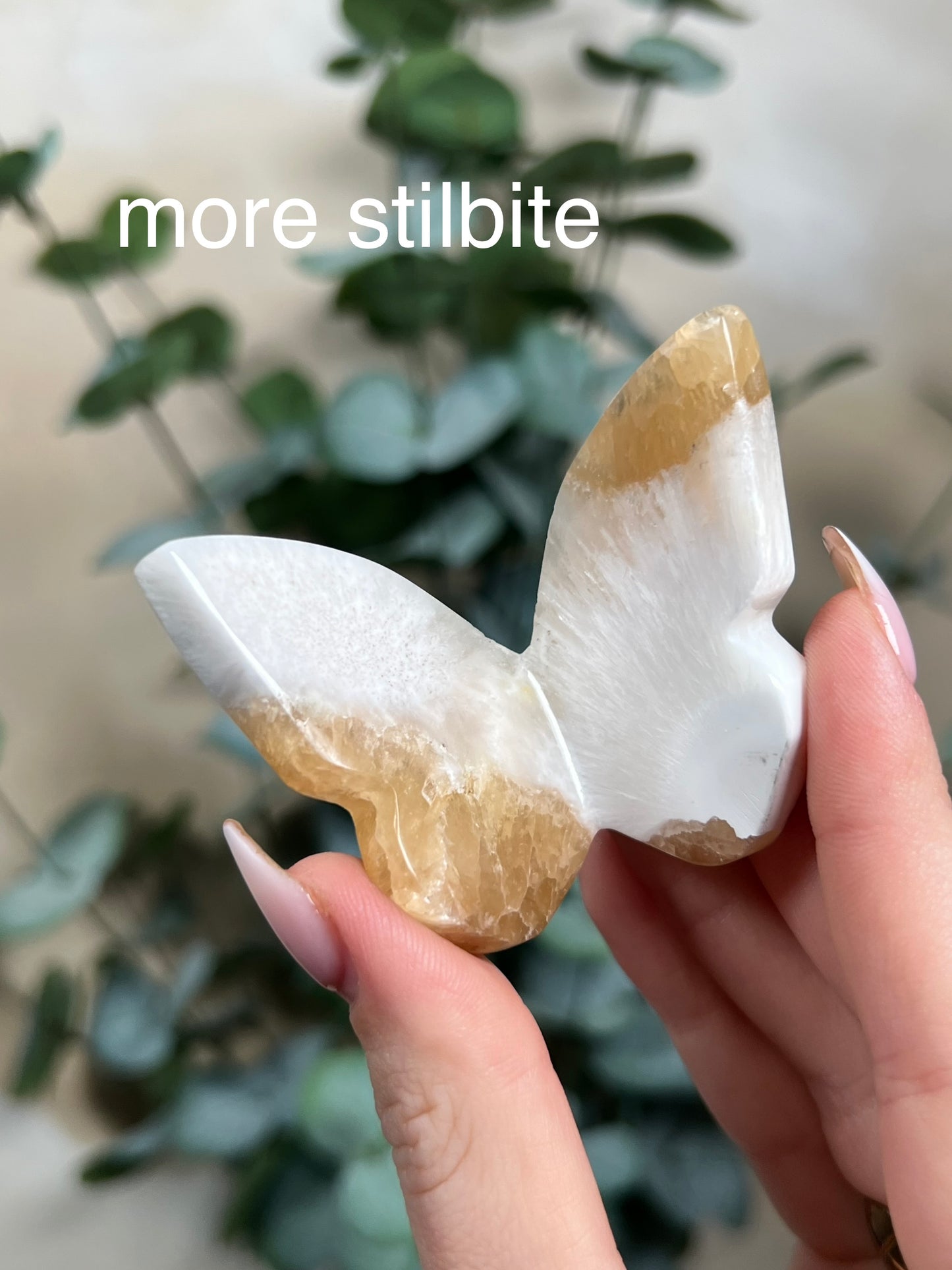 Stilbite in Scolecite Butterflies