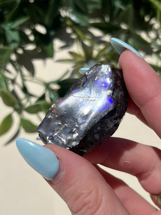 Ammolite (15AM)