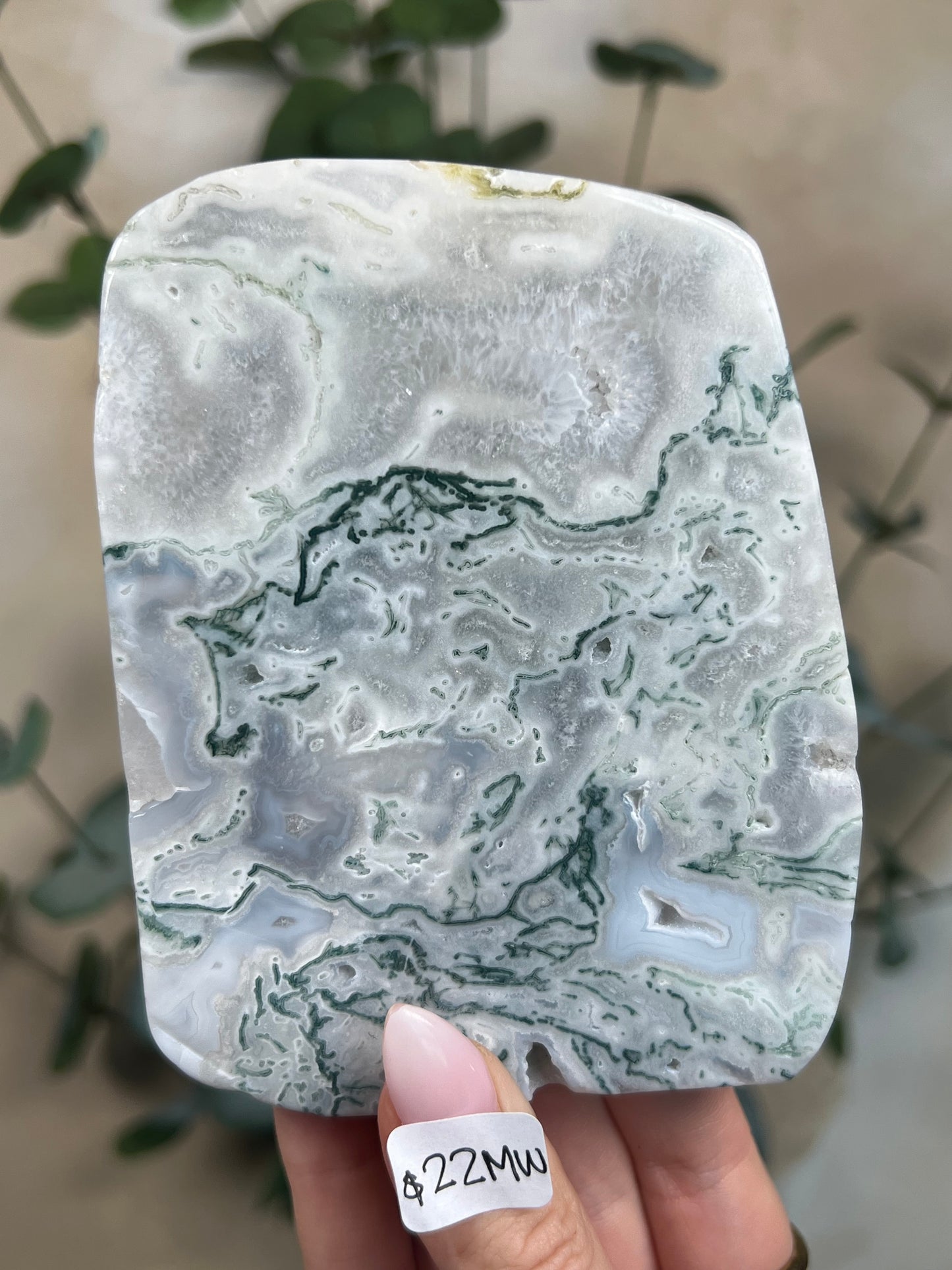 Moss Agate Slabs with Stands (6 options)
