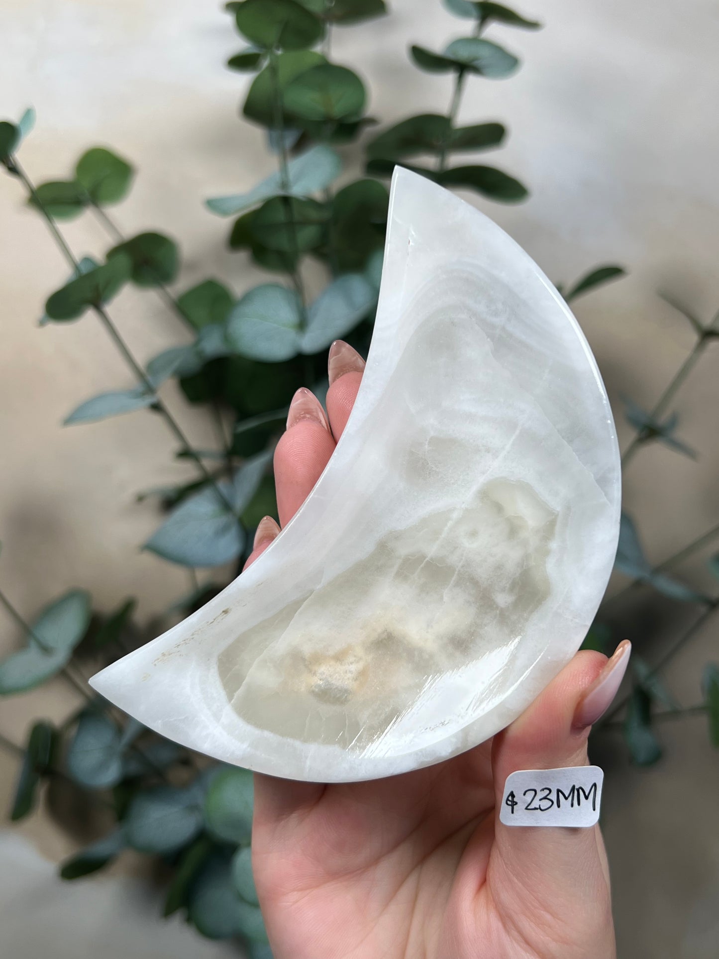 Calcite Moon Dishes (12 options)