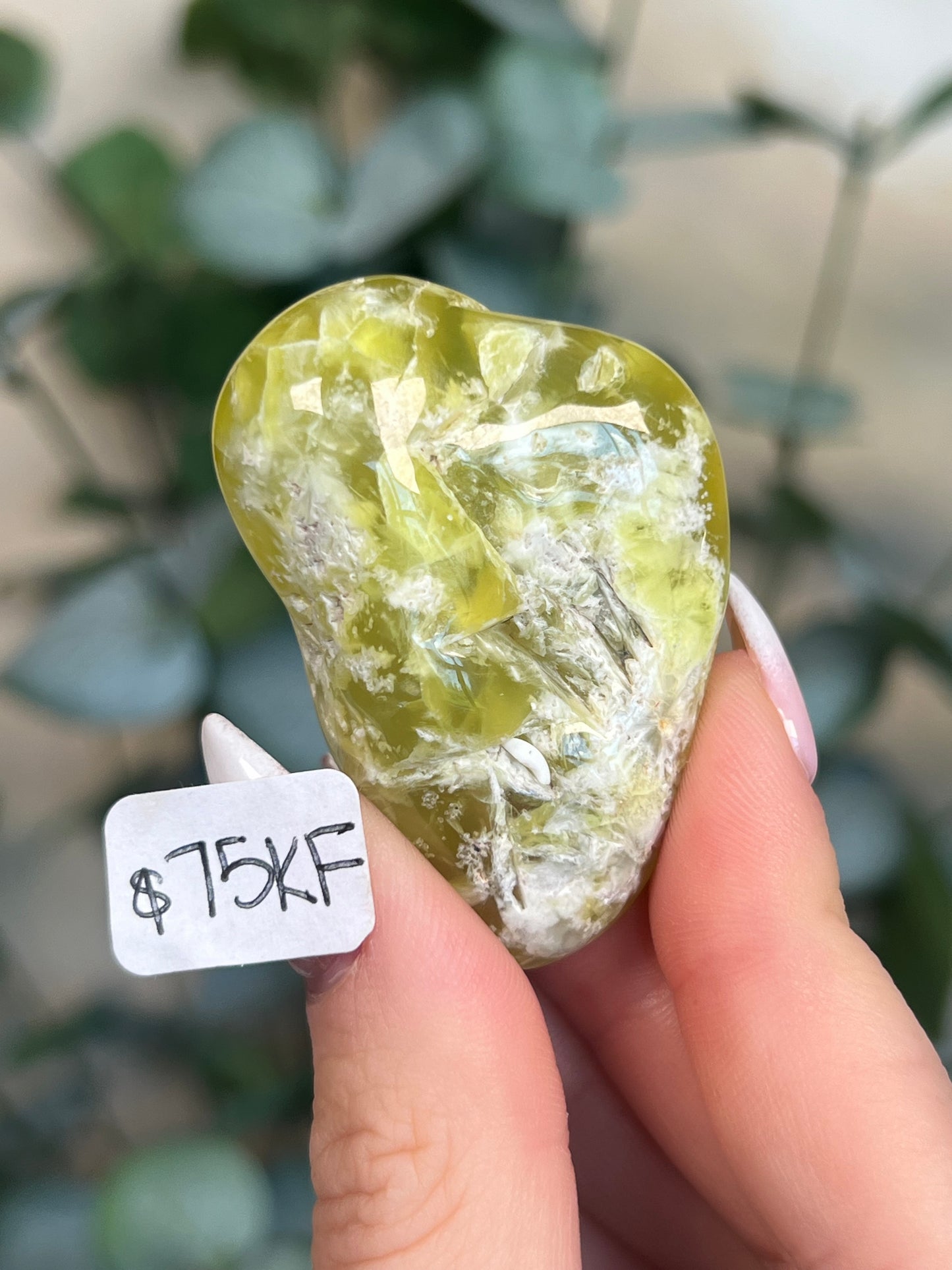 Australian Prehnite Polished (58KC, 75KF)