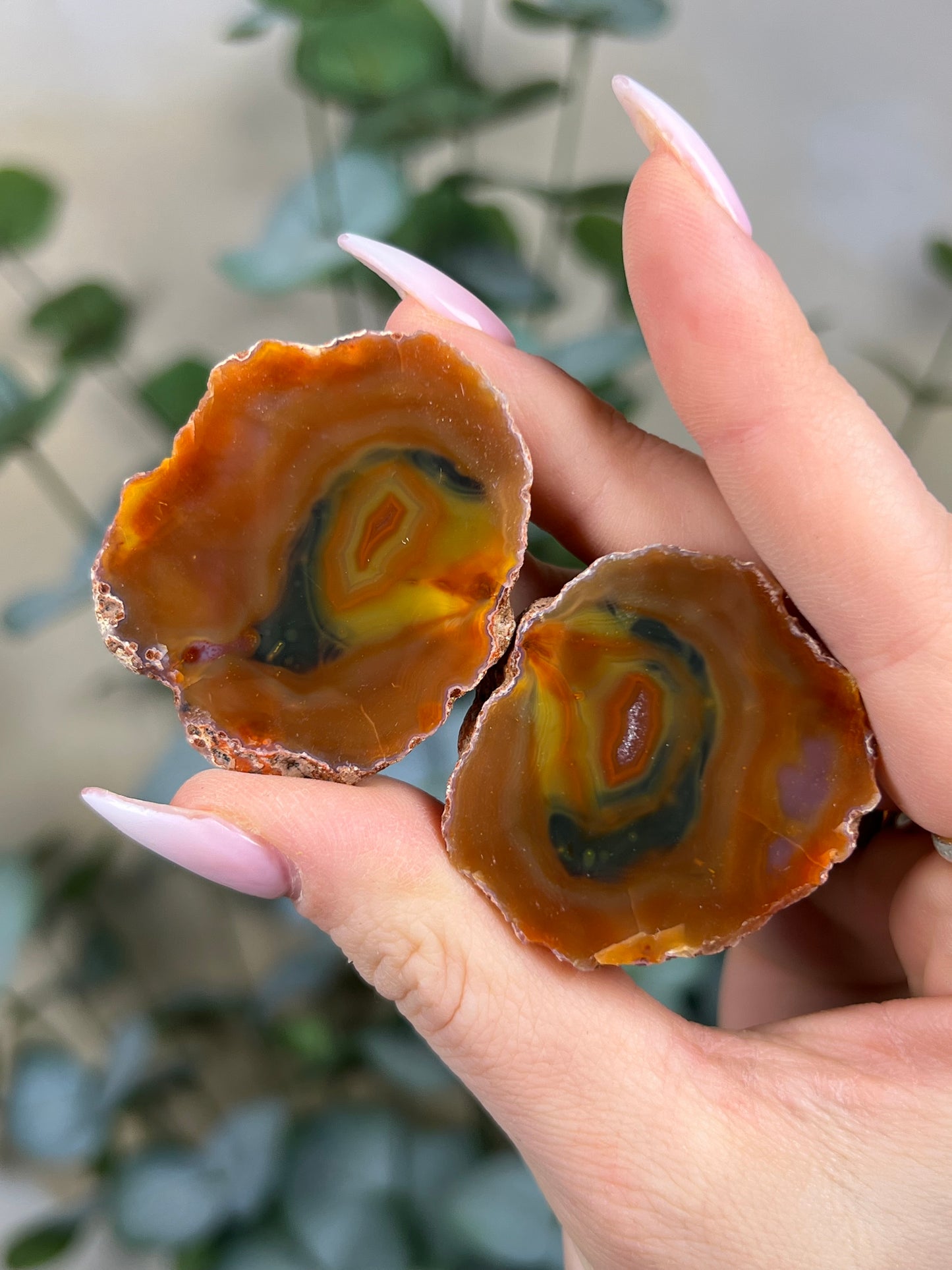 Condor Agate Pair (24GG)