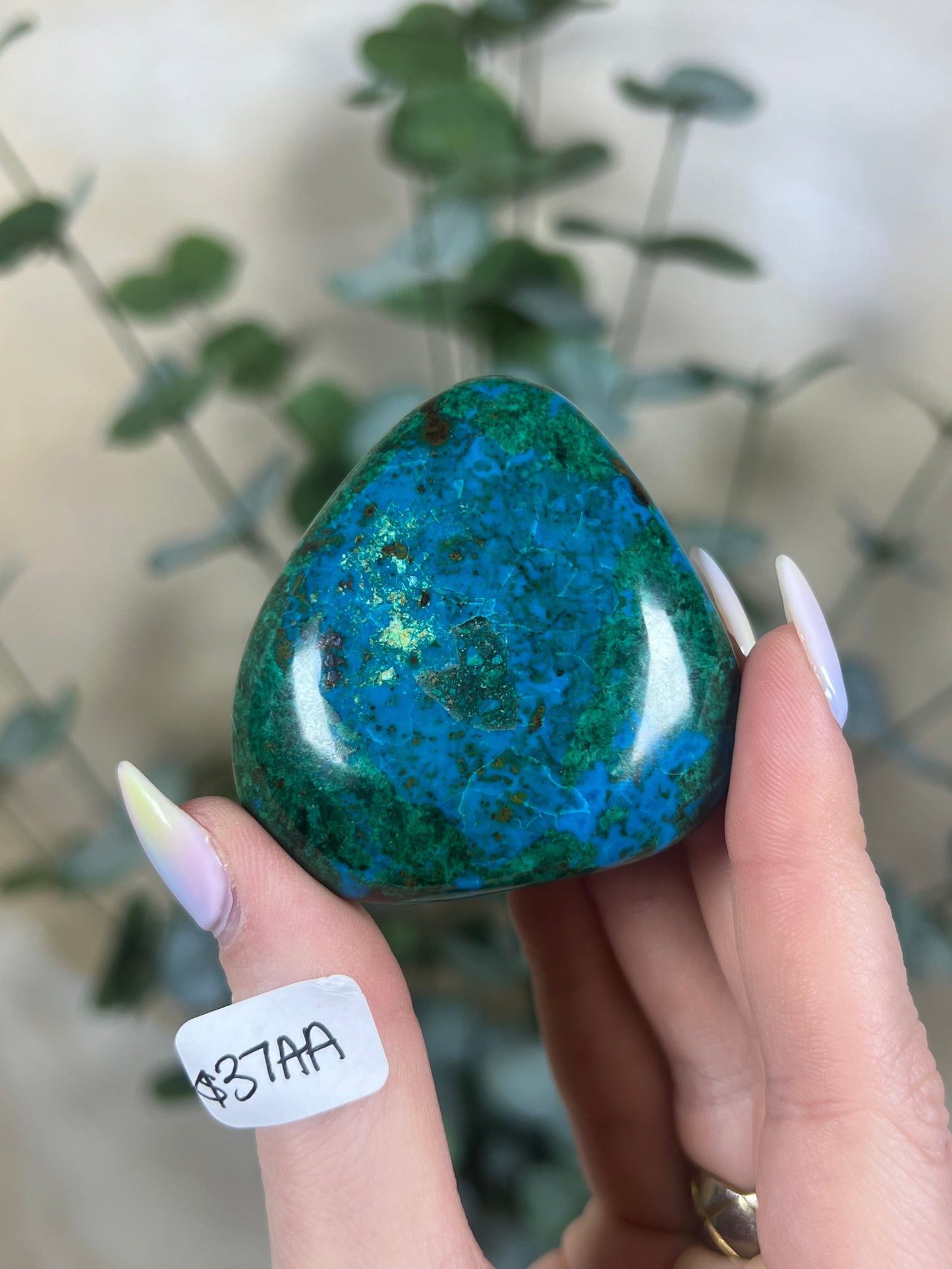 Malachite Chrysocolla Freeforms (18AD-37AA)