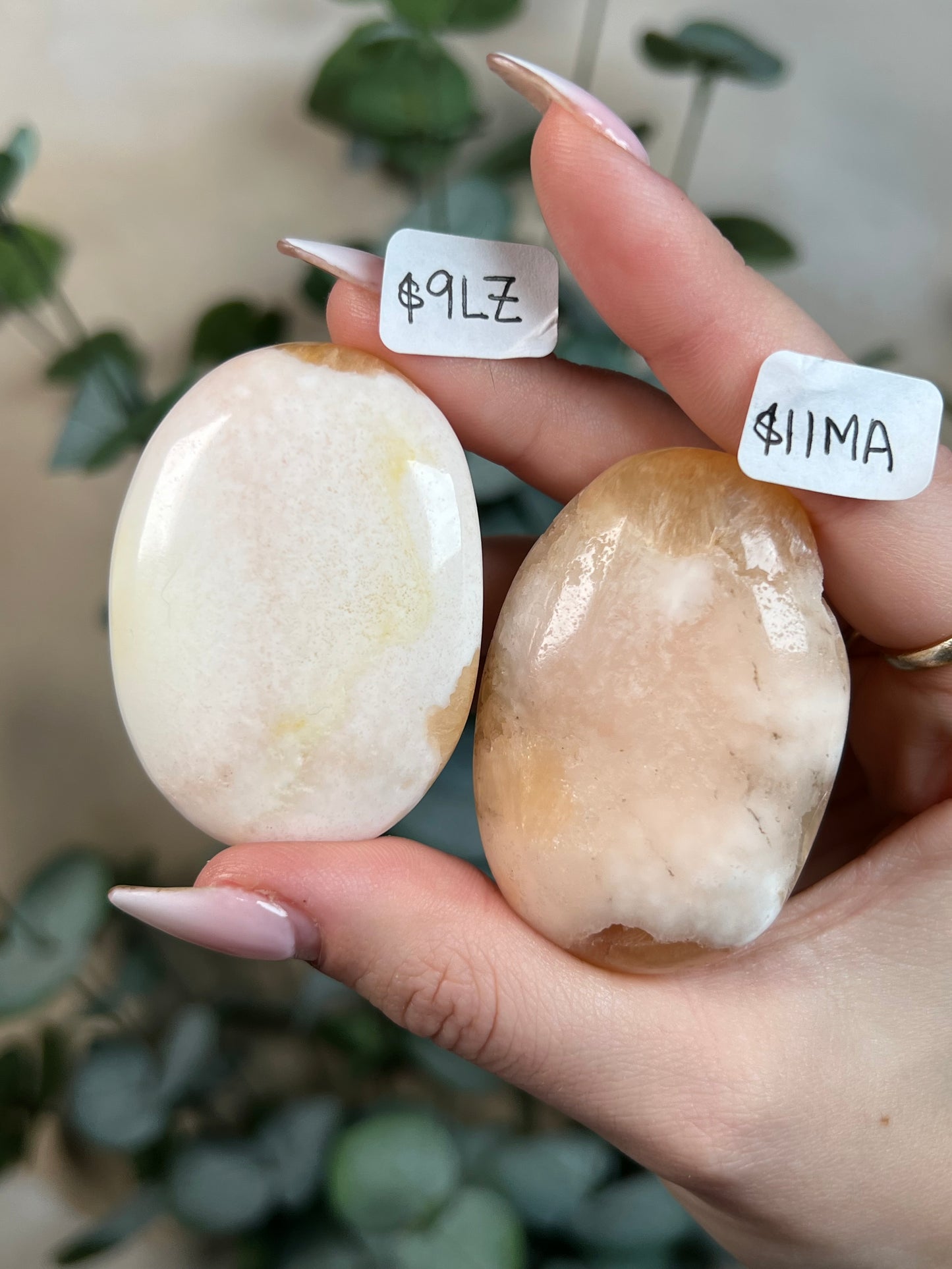 Stilbite in Scolecite Palms (8 options)