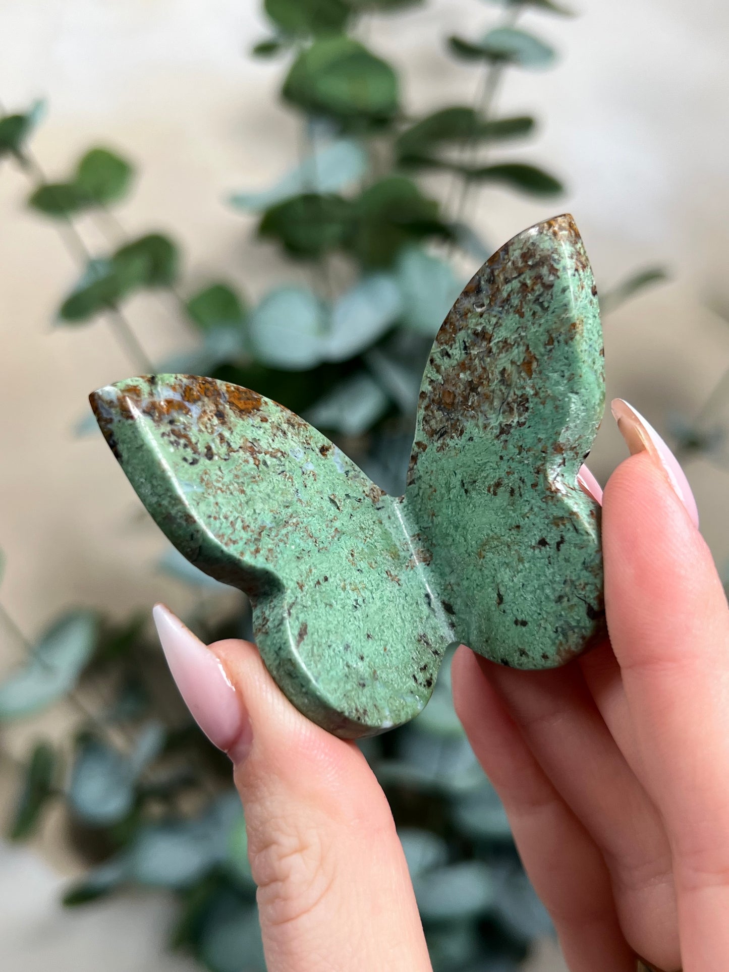 Green Opal Butterflies