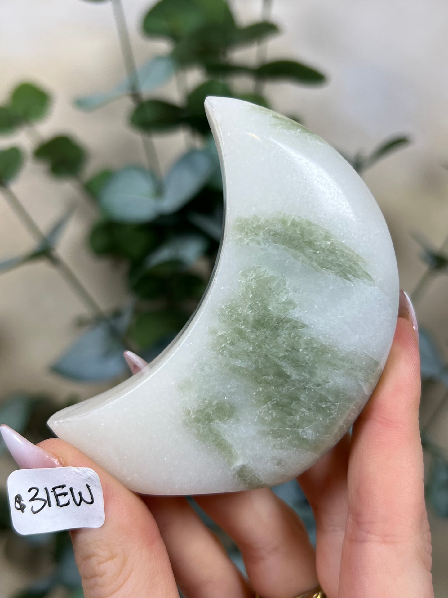 Green Kyanite in Quartz Standing Moons (30FH, 31EW)