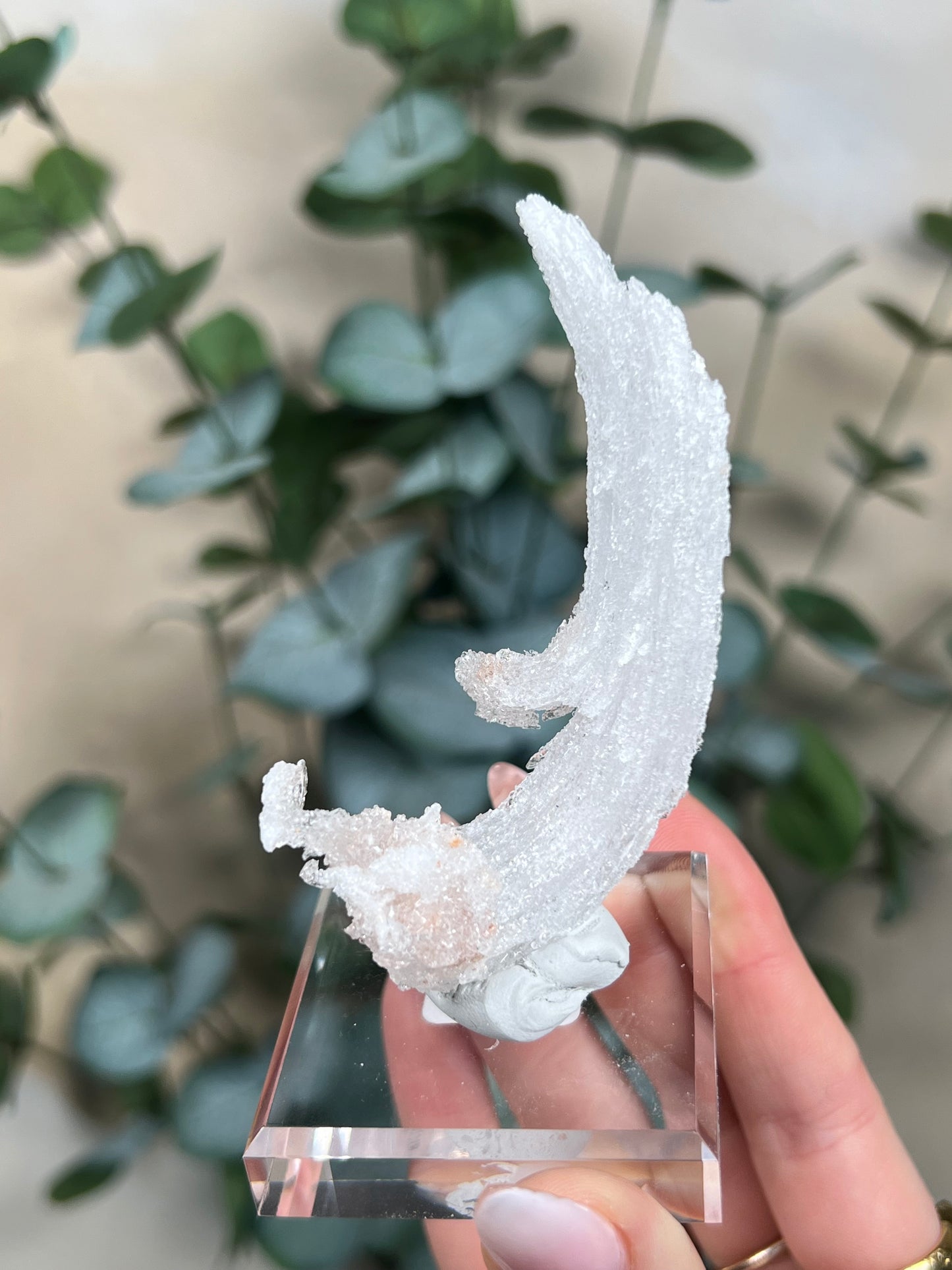 Horn Selenite (46EE)