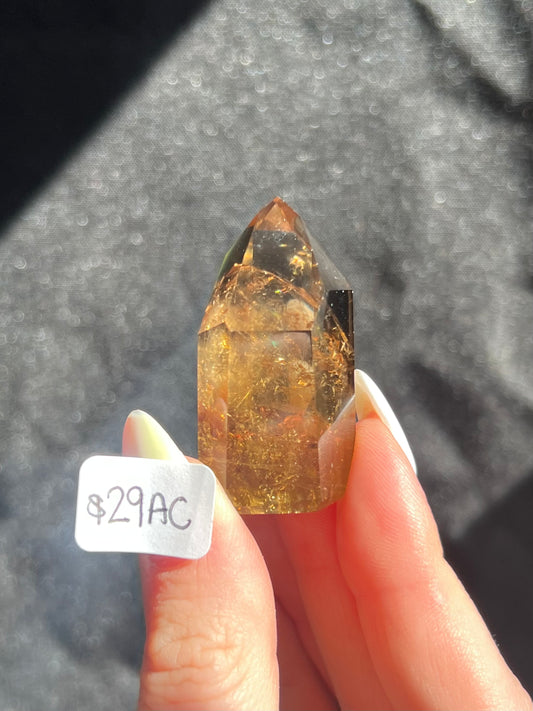 Citrine Towers (29AC, 30AC)