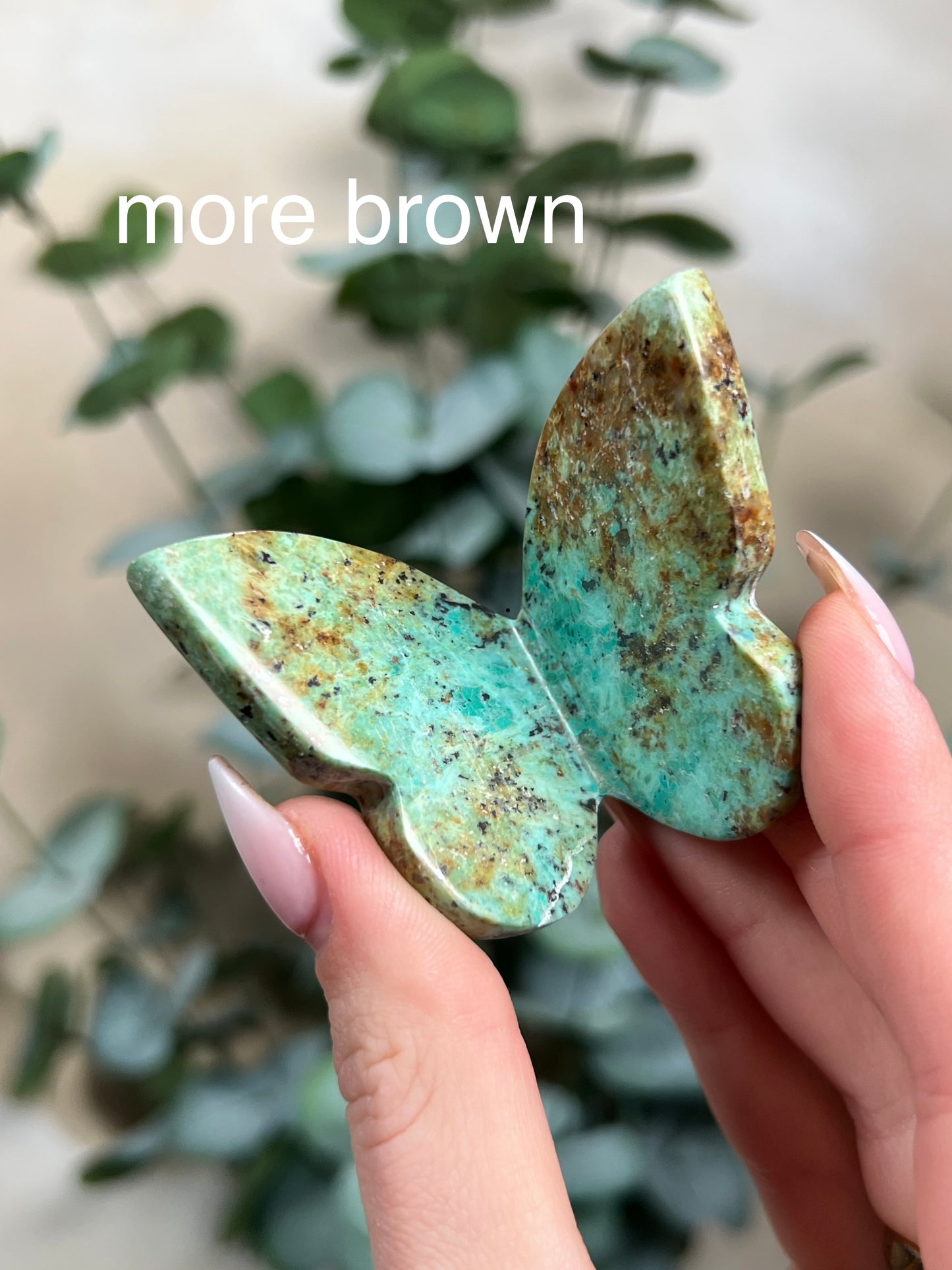 Chrysocolla Butterflies