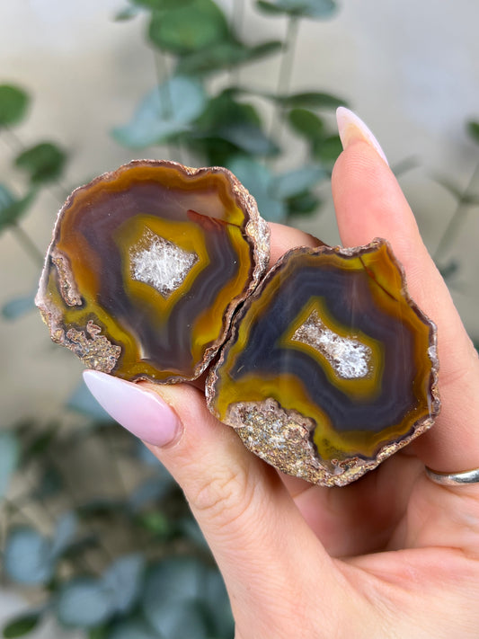 Condor Agate Pair (46EY)