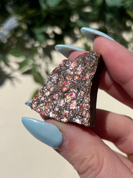 Ammolite (18AG)