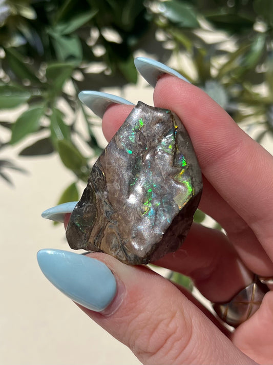 Ammolite (13AG)