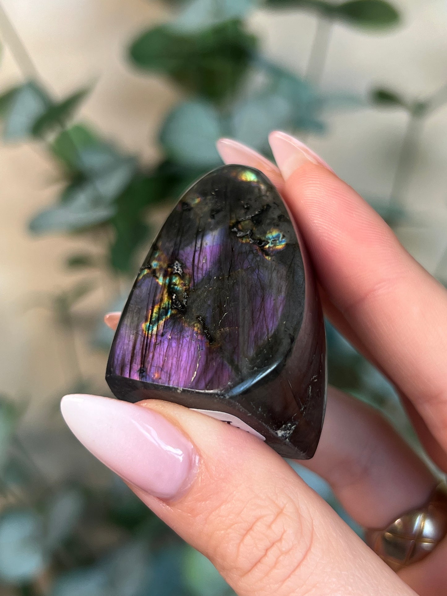 Labradorite Freeform HQ (24LZ)