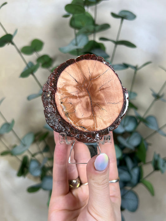 Argentinian Orbicular Jasper (64AC)