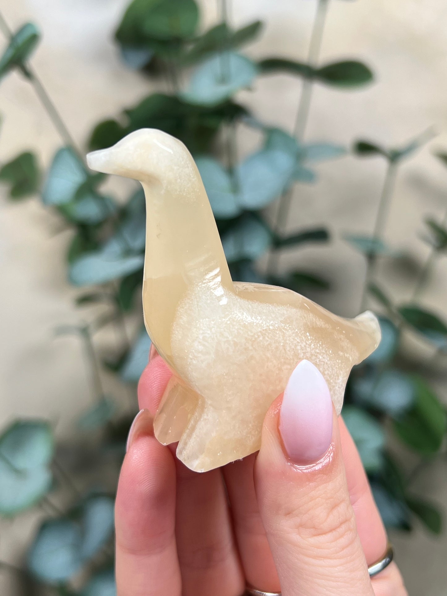 Calcite Dino - Brontosaurus