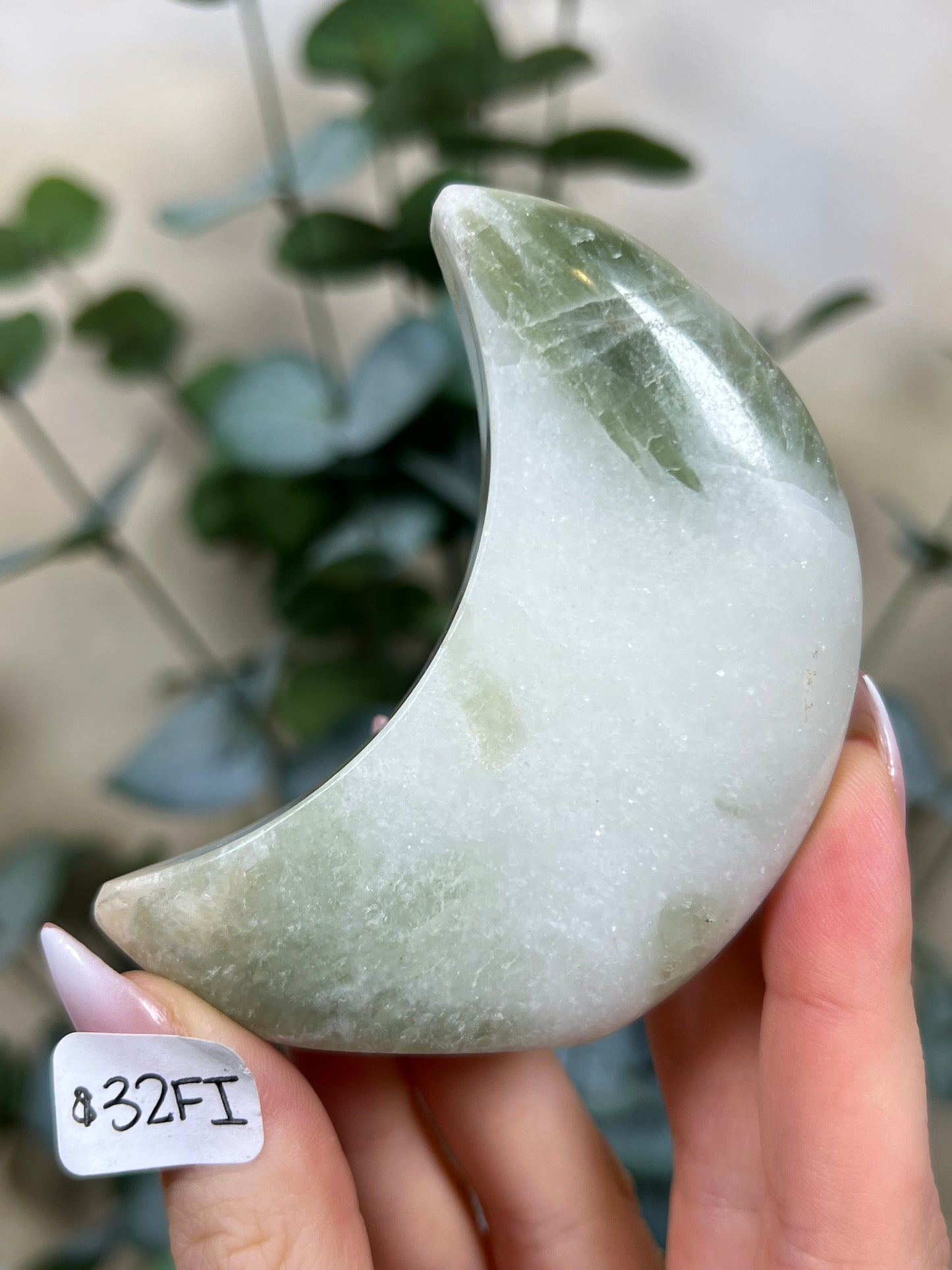 Green Kyanite in Quartz Standing Moons (31EX, 32FI)