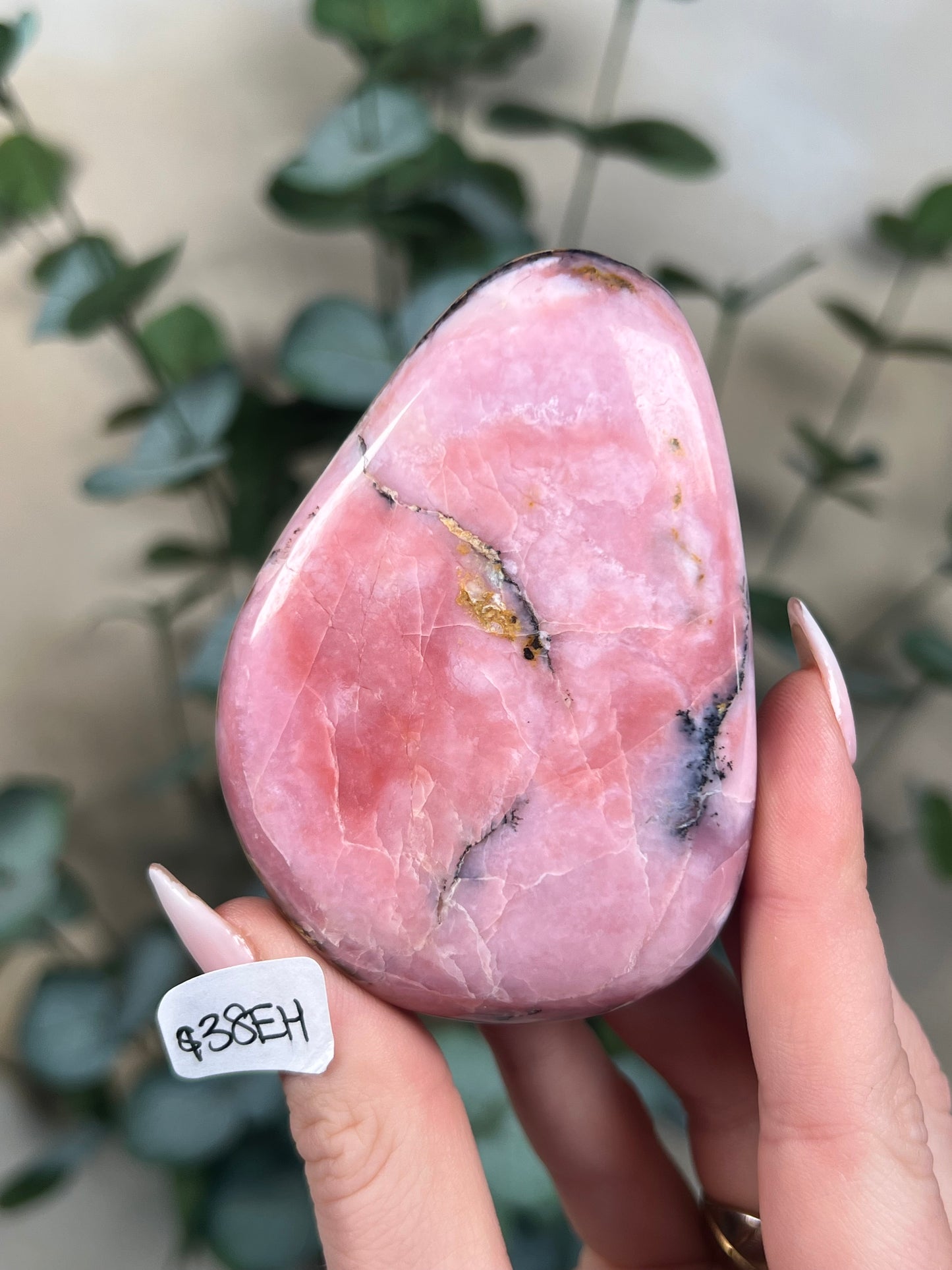 Strawberry Opal Palms (4 options)