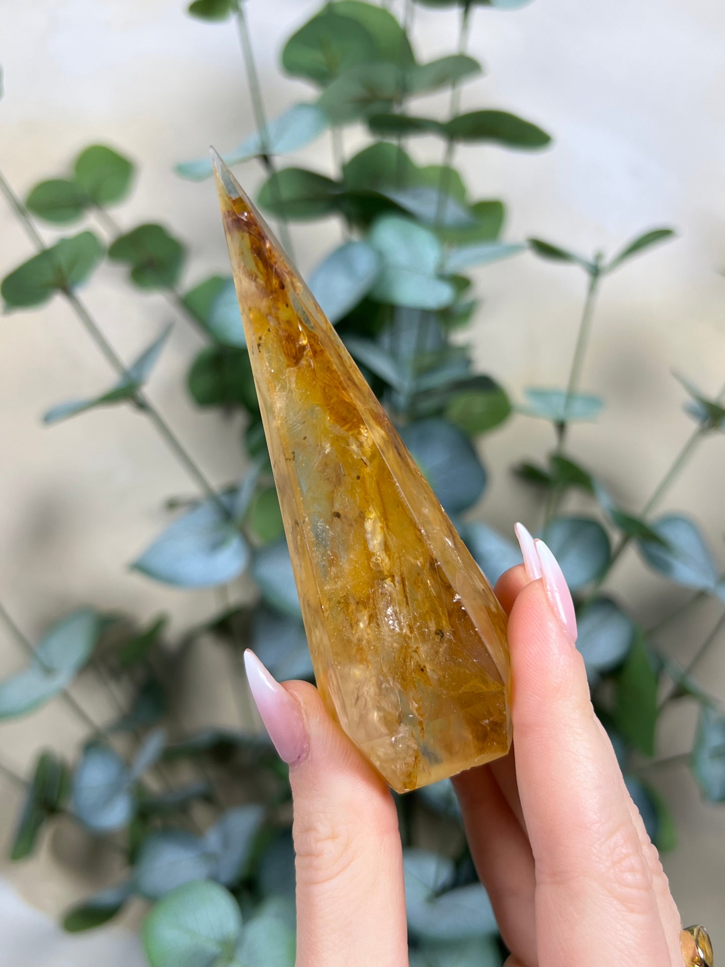 Golden Healer Point (37FD)