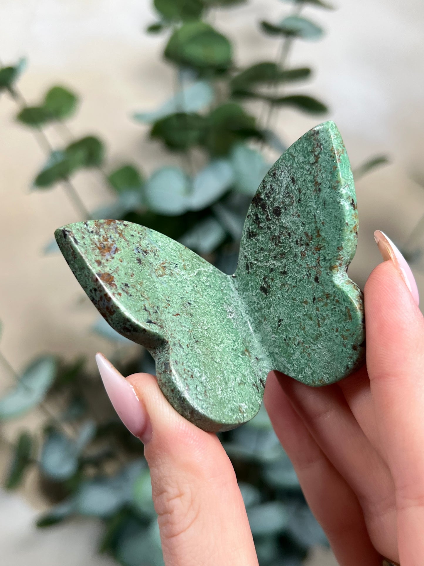Green Opal Butterflies