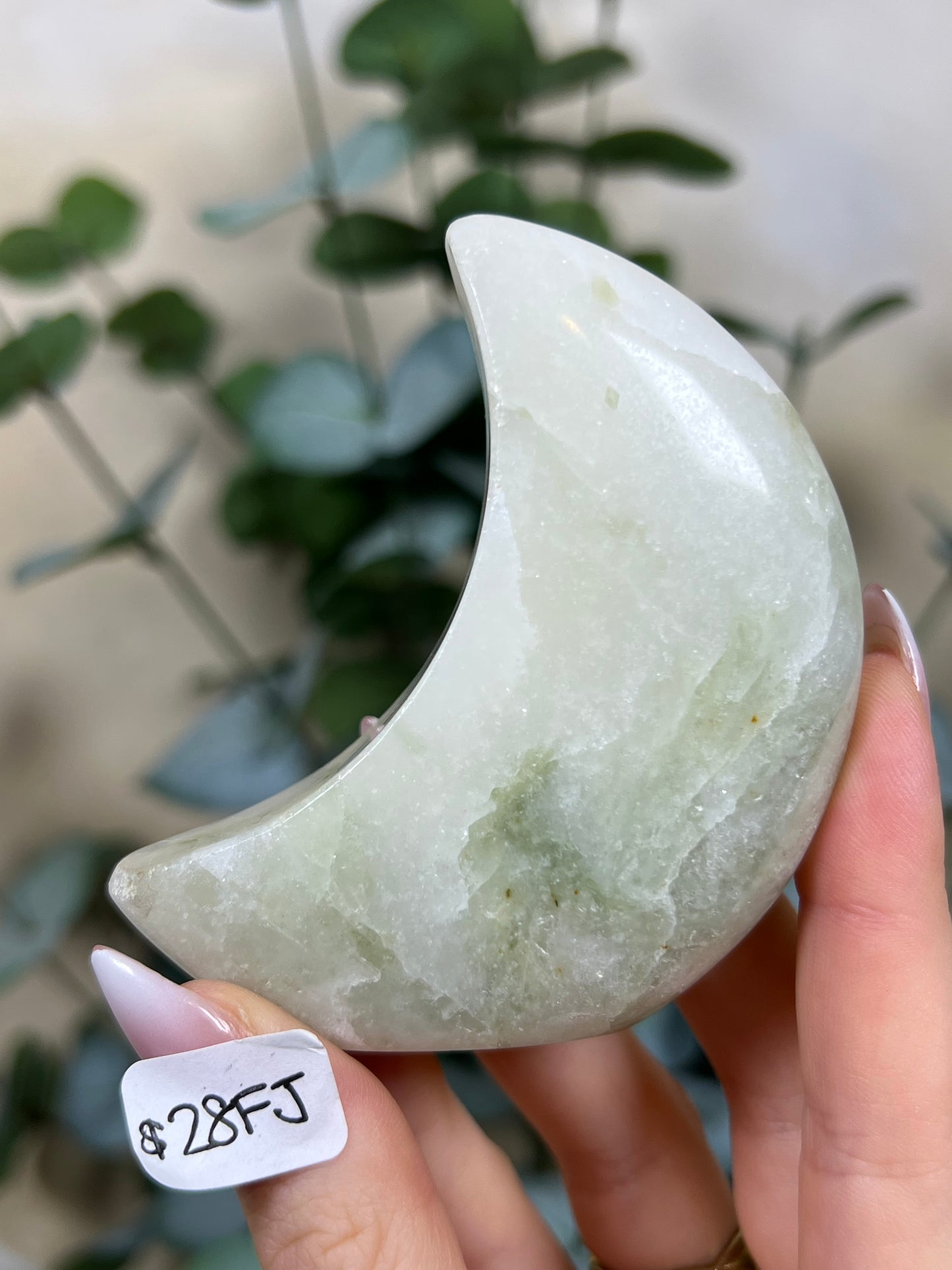 Green Kyanite in Quartz Standing Moons (26FT, 28FI, 28FJ)