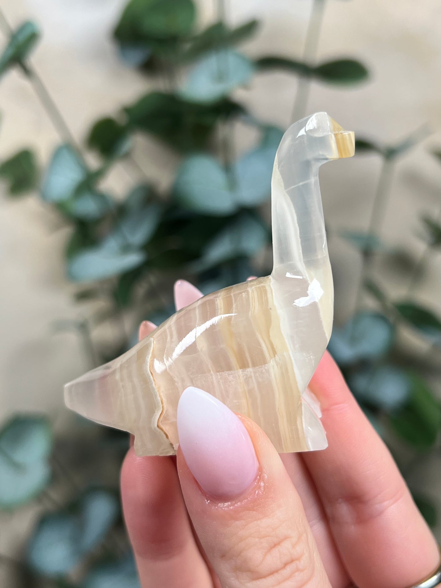 Calcite Dino - Brontosaurus
