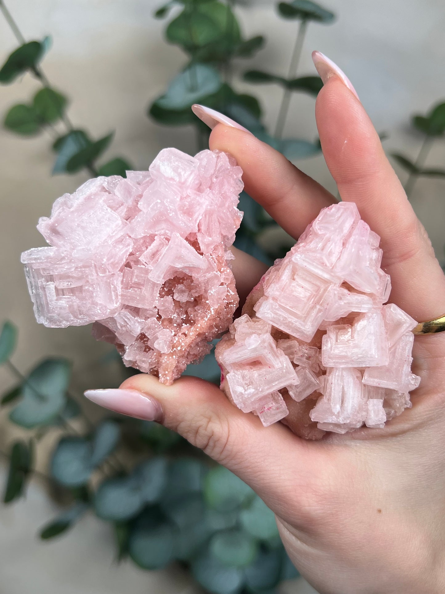 Pink Halites (intuitive)