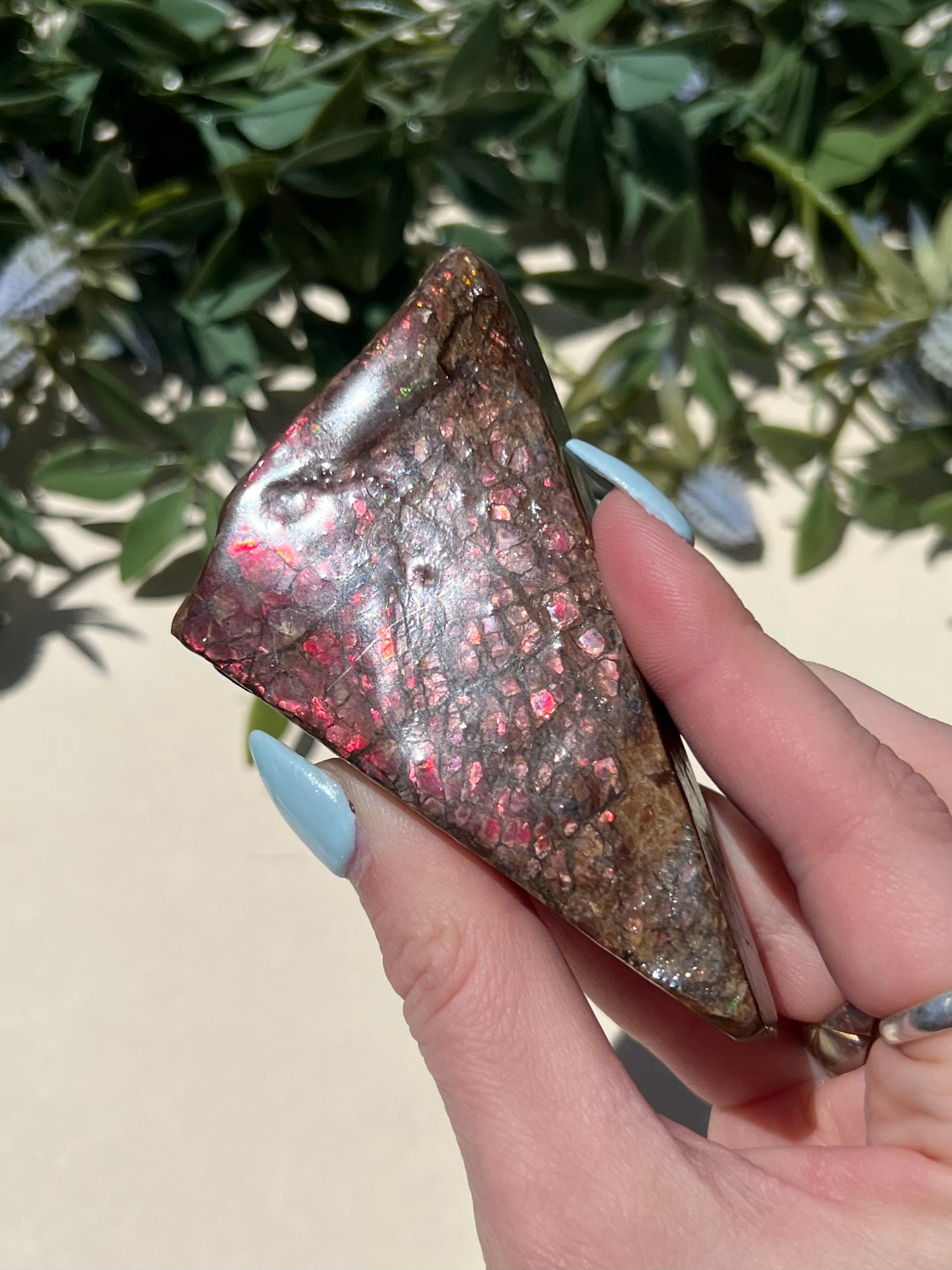 Ammolite (52AB)