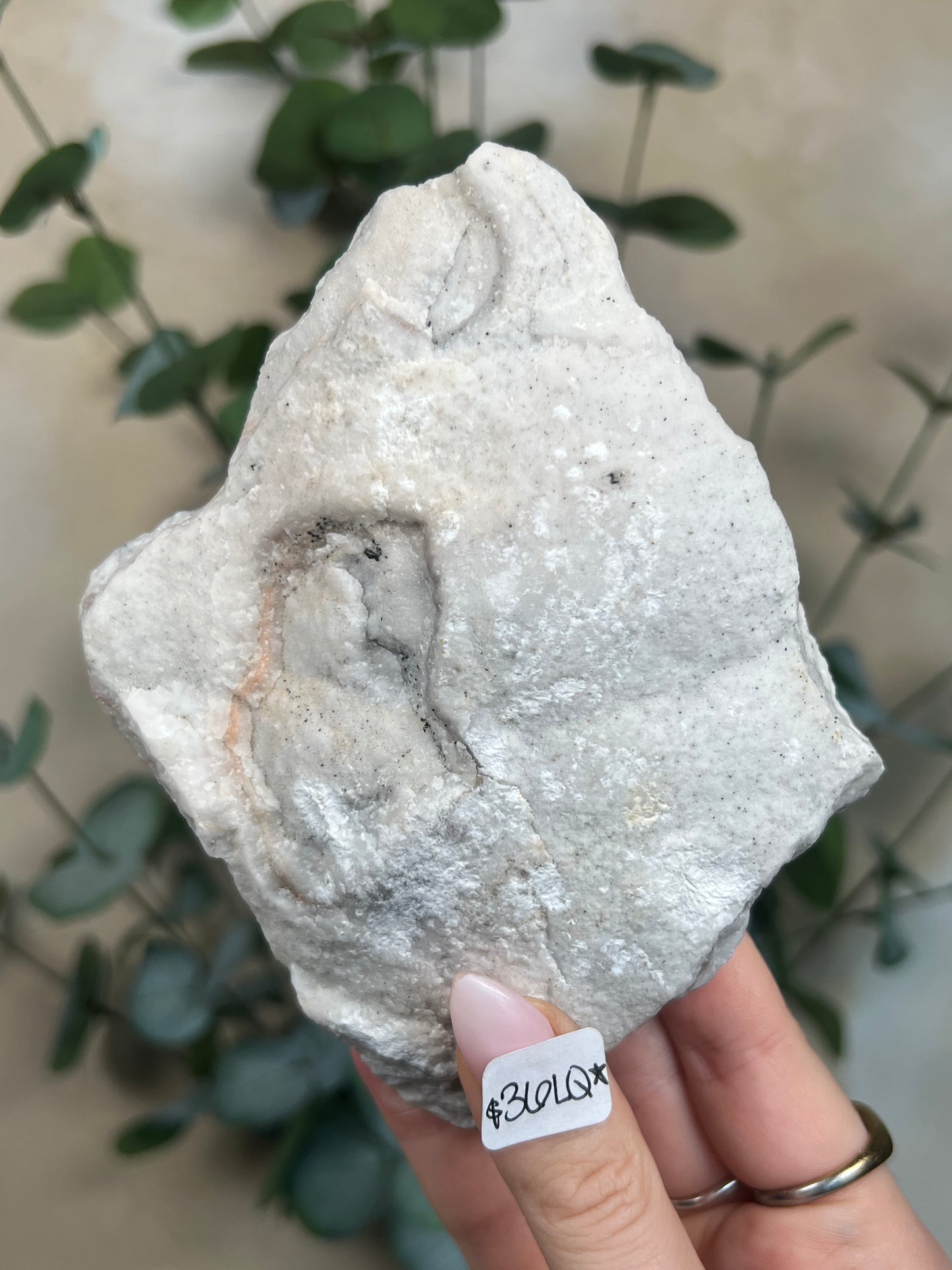 Zebra Calcite Slabs with Stands (4 options)