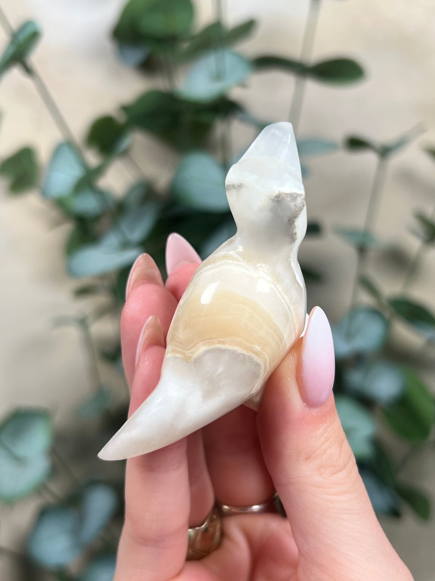 Calcite Dino - T-Rex