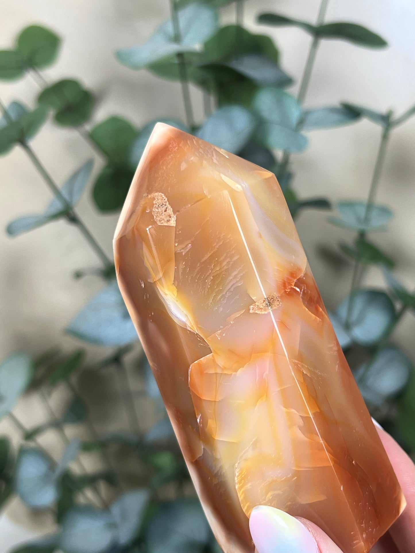 Carnelian Tower (34AB)