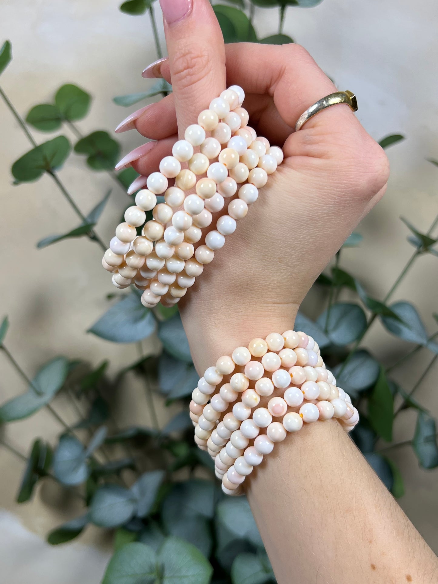 Conch Shell Bracelets
