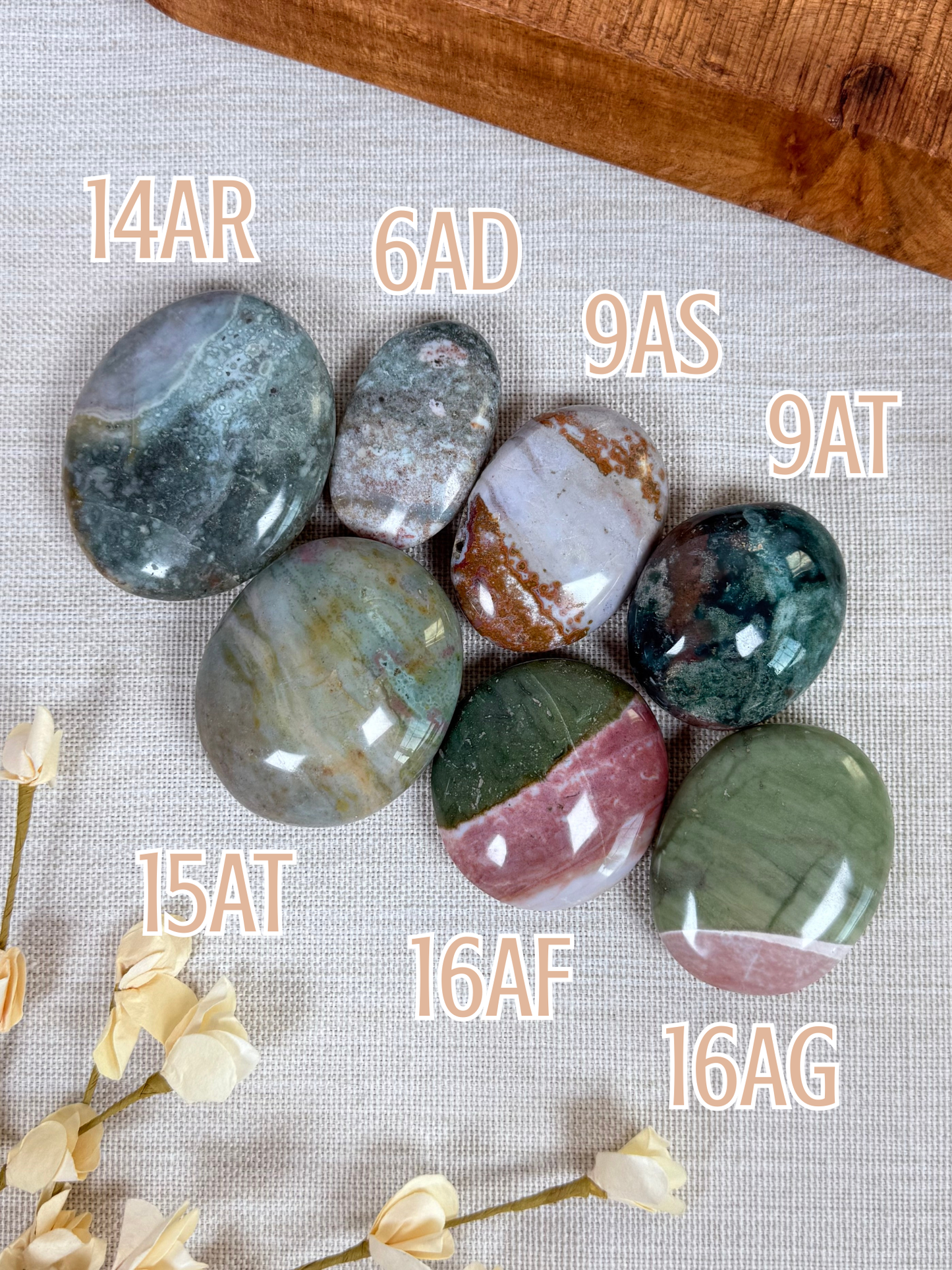 Sea Jasper Palms (6AD-16AG)