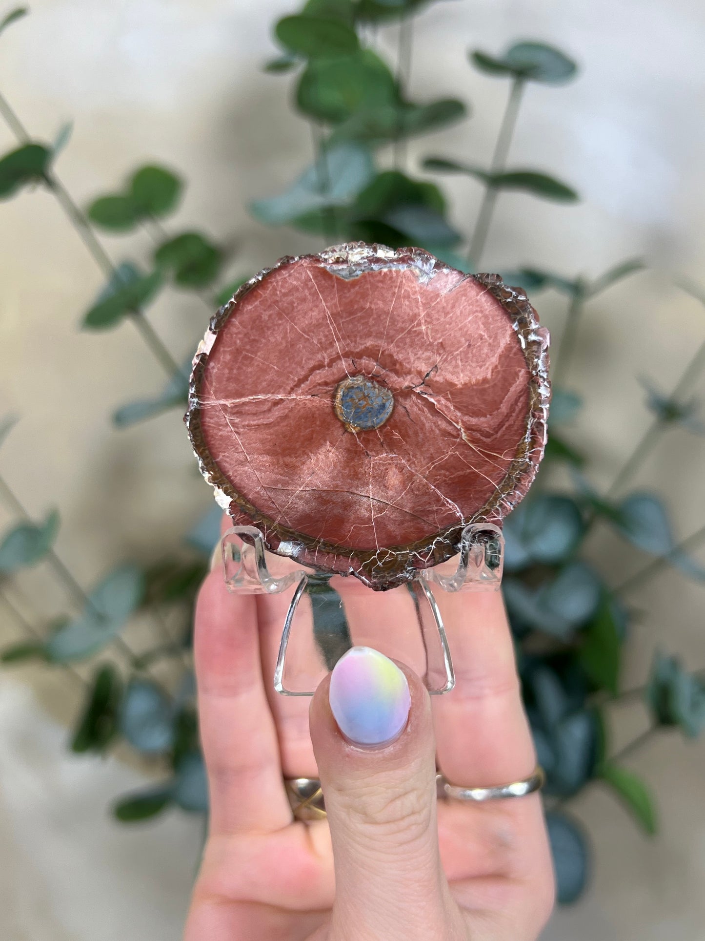 Argentinian Orbicular Jasper (59AB)