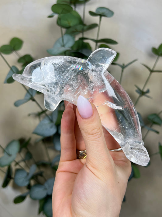 Quartz Dolphin (97EC)