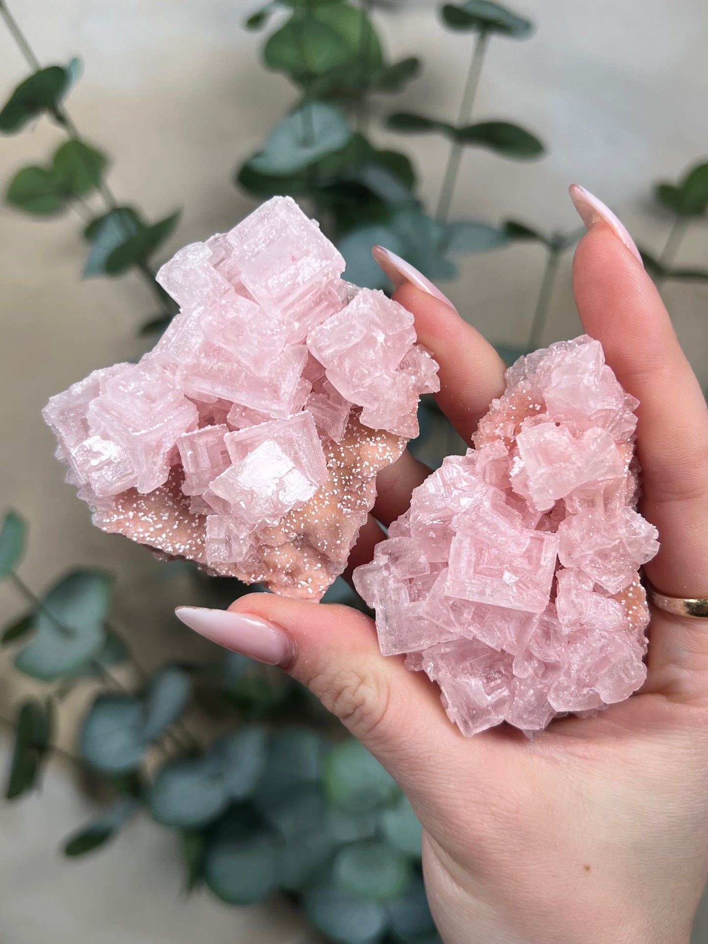 Pink Halites (intuitive)