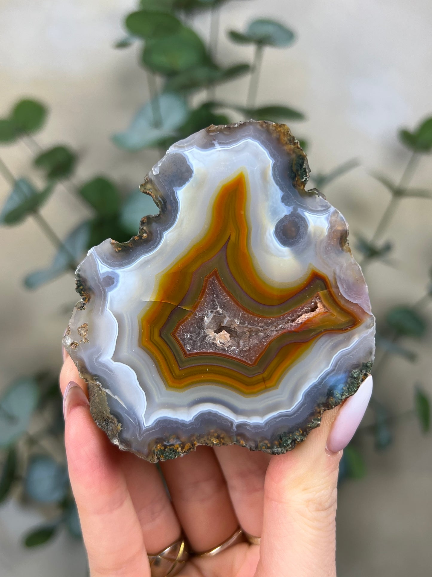 Condor Agate (267EA)