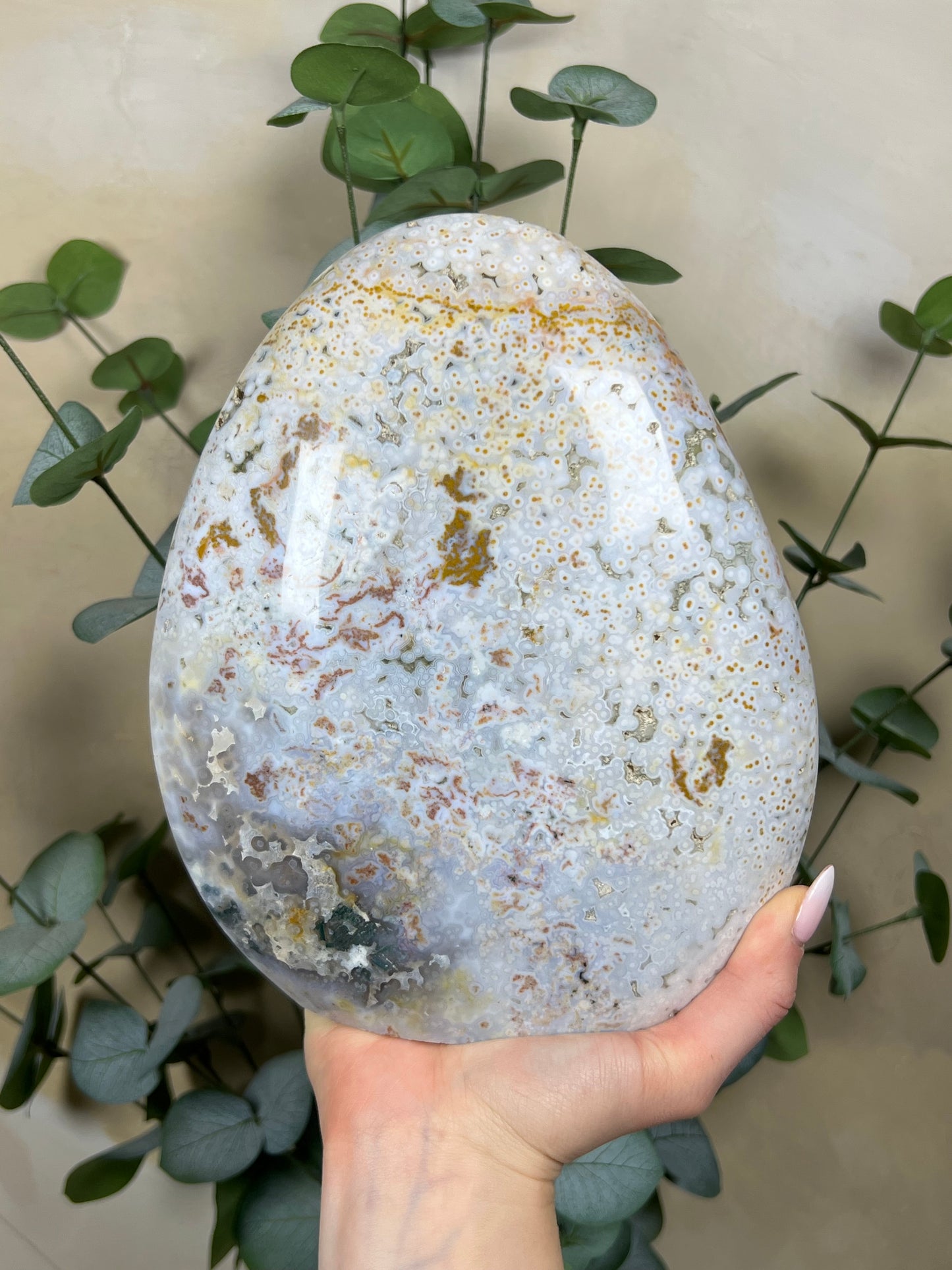 Sea Jasper Freeform (264EA)