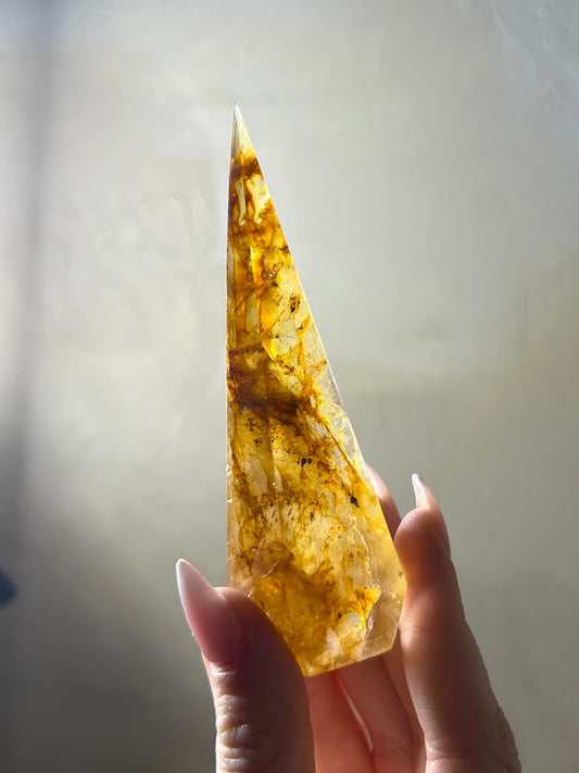 Golden Healer Point (37FD)