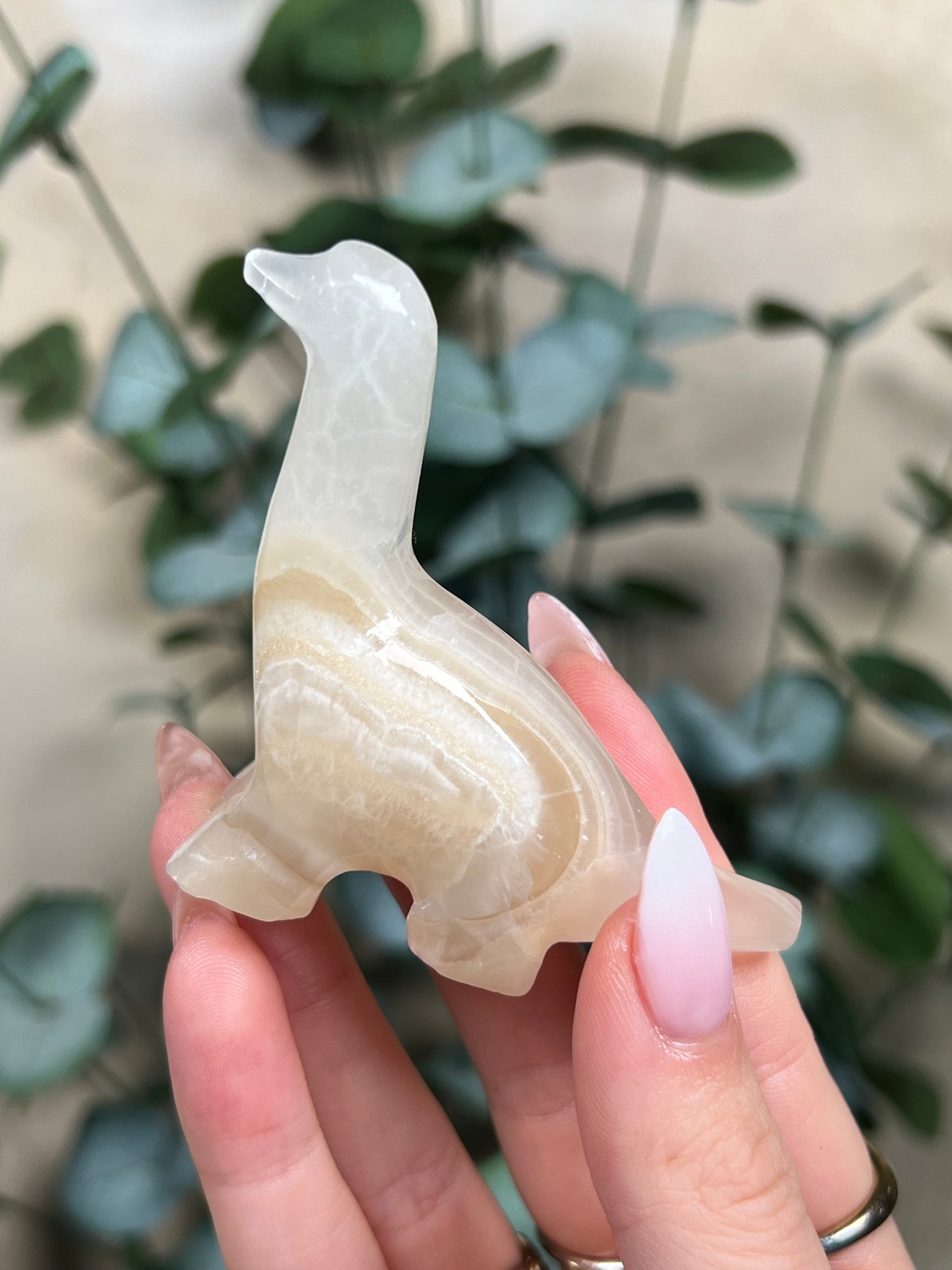 Calcite Dino - Brontosaurus