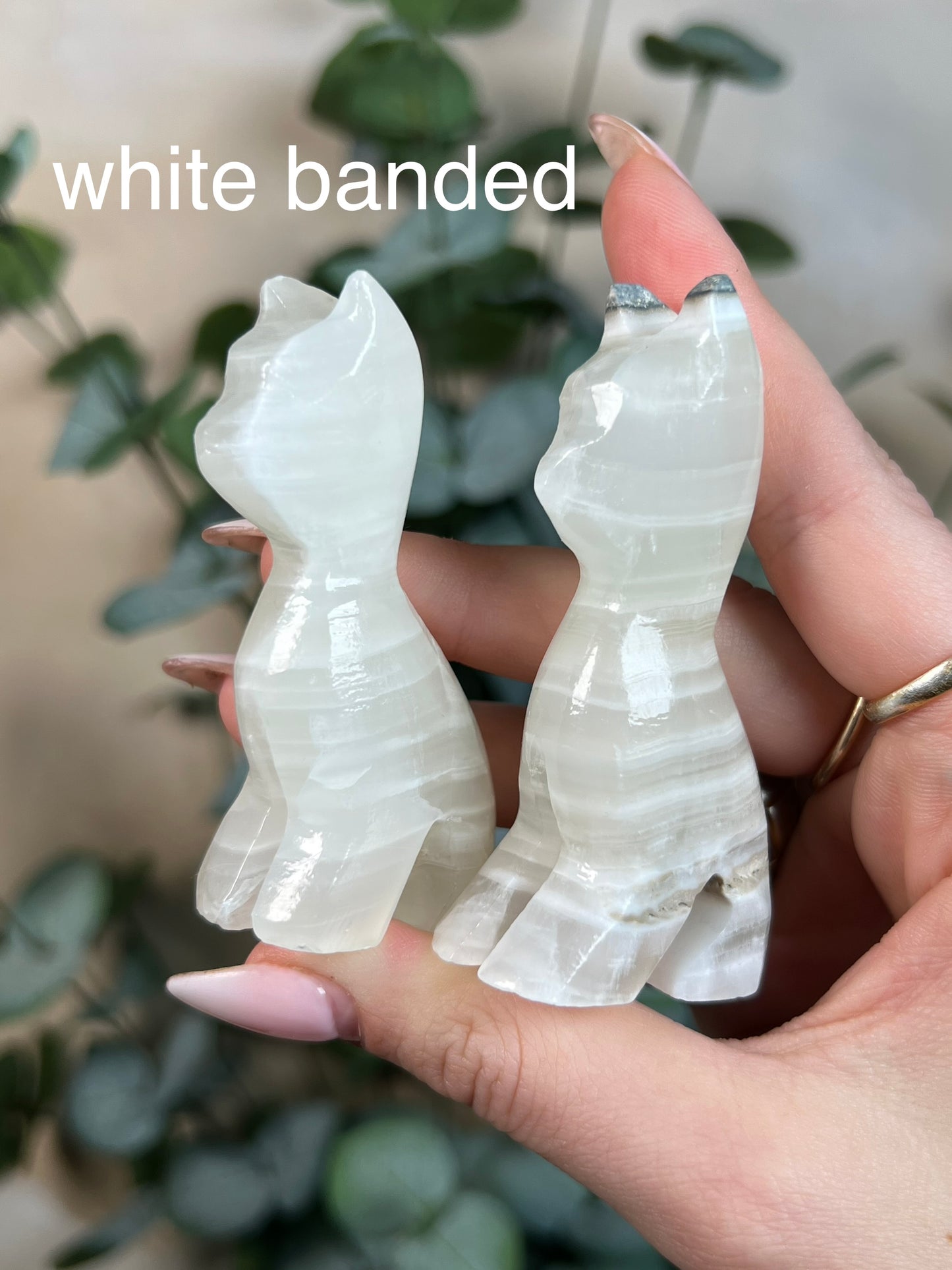 Calcite Cats (multiple options)