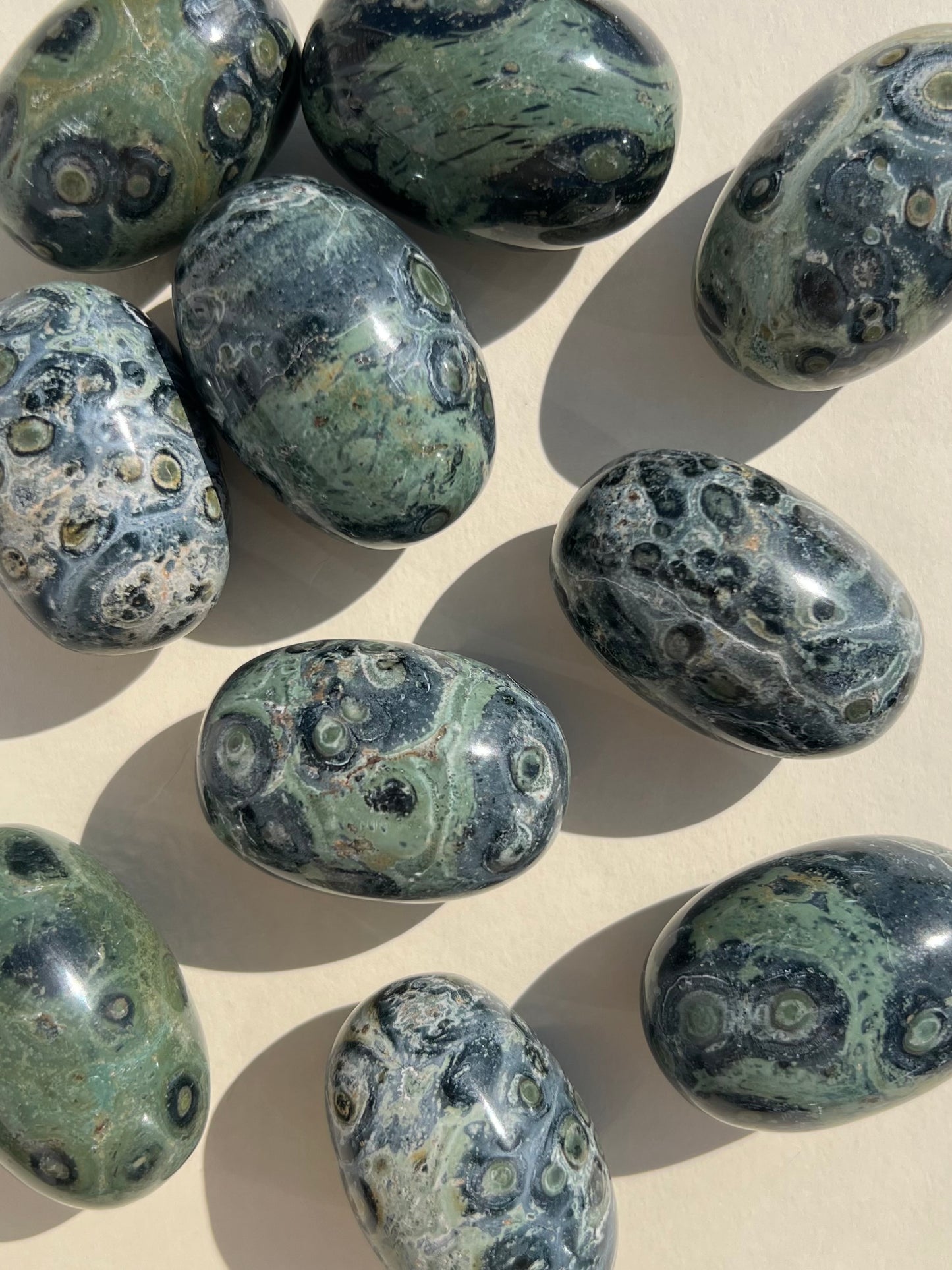 Kambaba Jasper Shivas (intuitive)