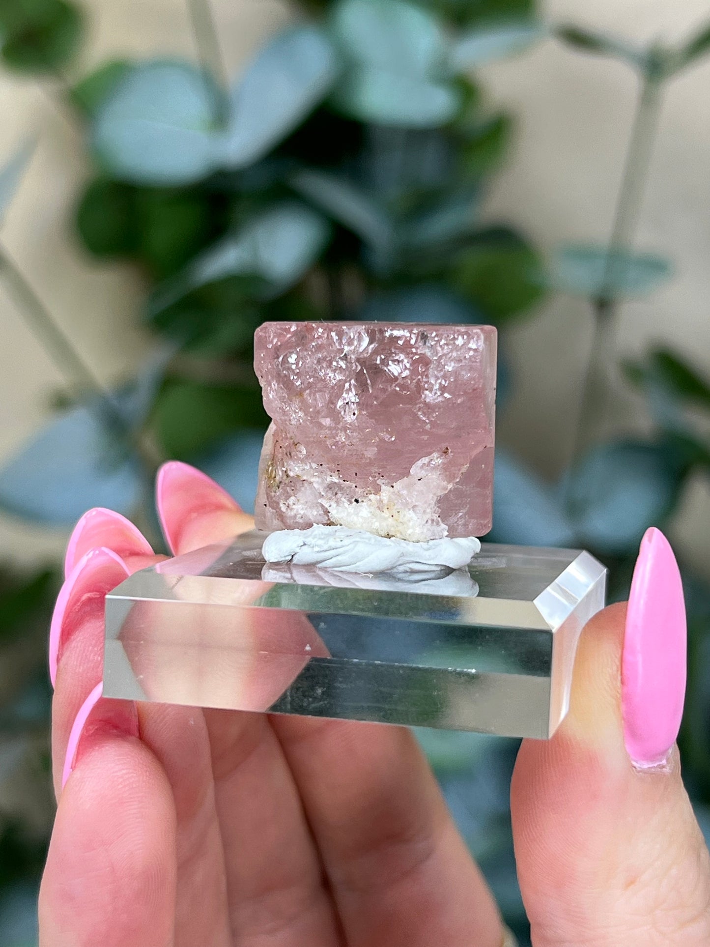 Pink Apatite (46AB)