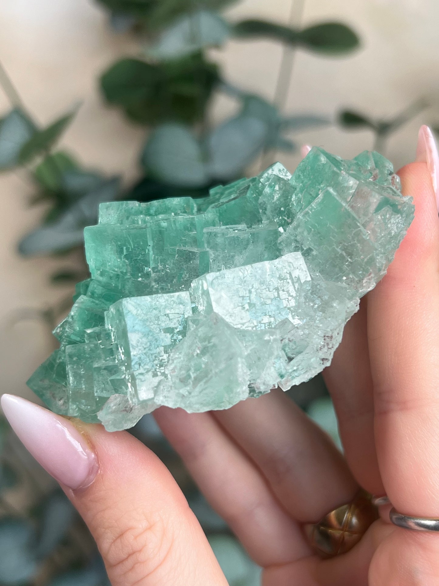 Green Halite with Display Stand (137KB)