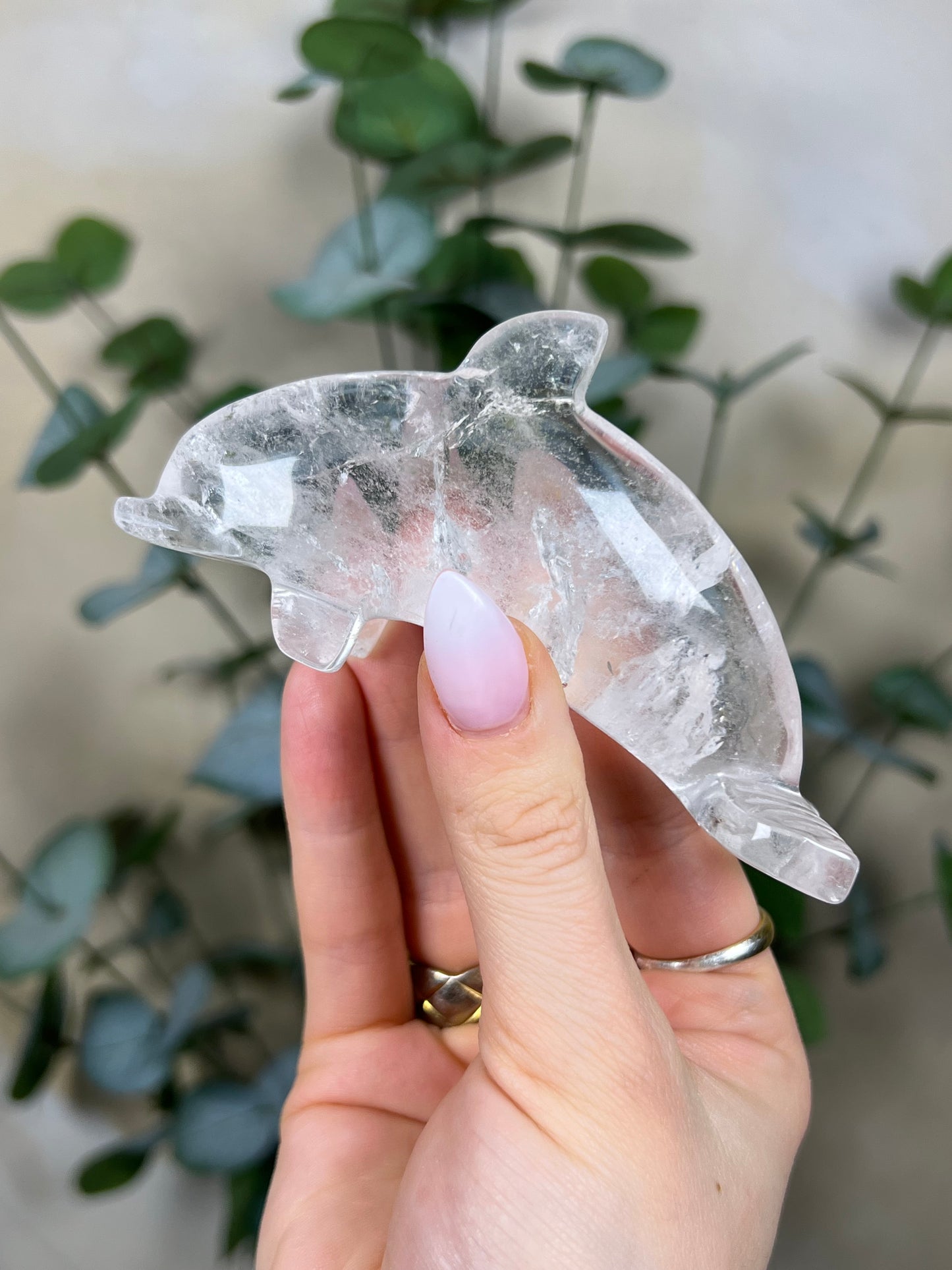 Quartz Dolphin (52EI)