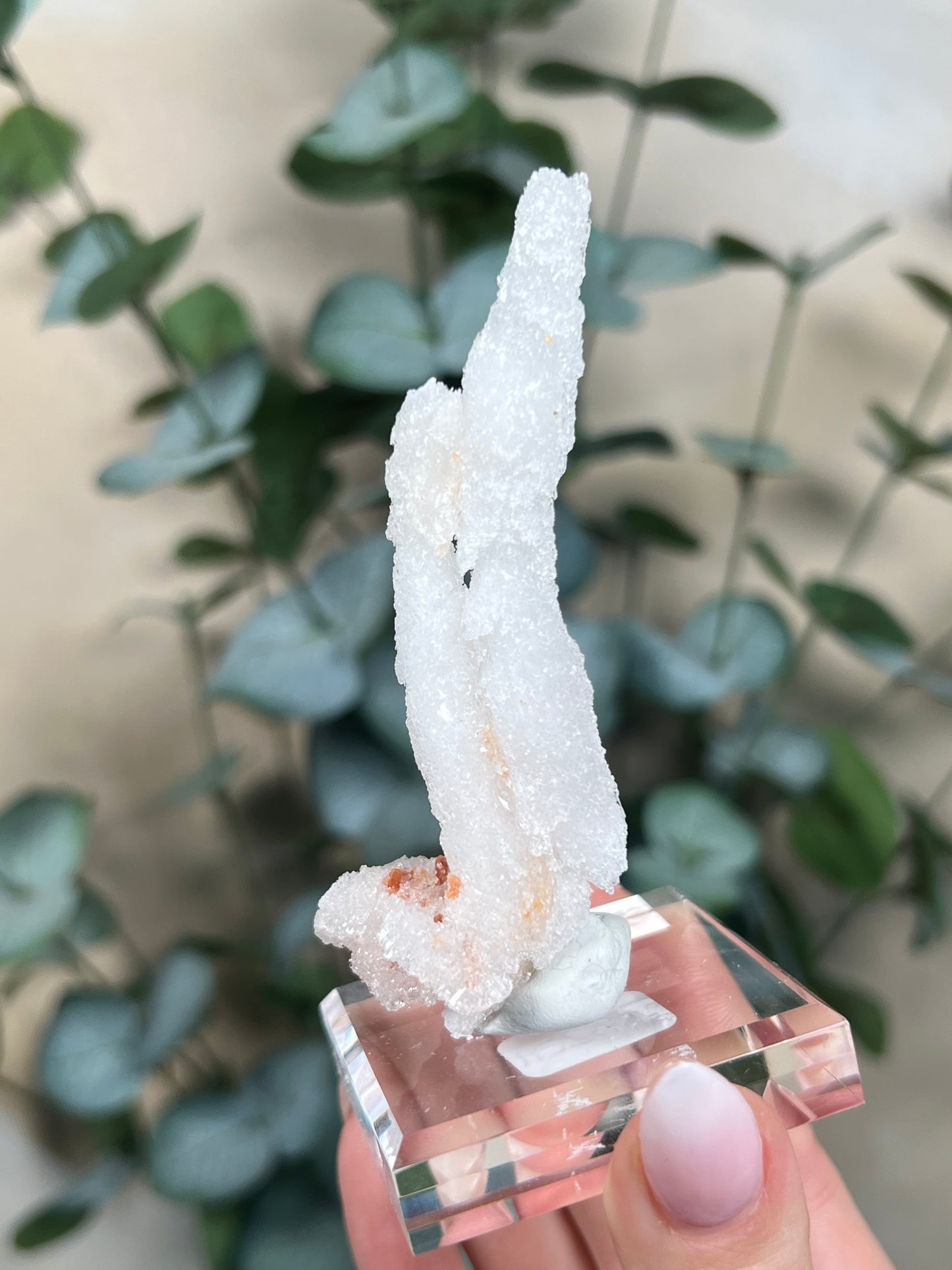 Horn Selenite (32EH)